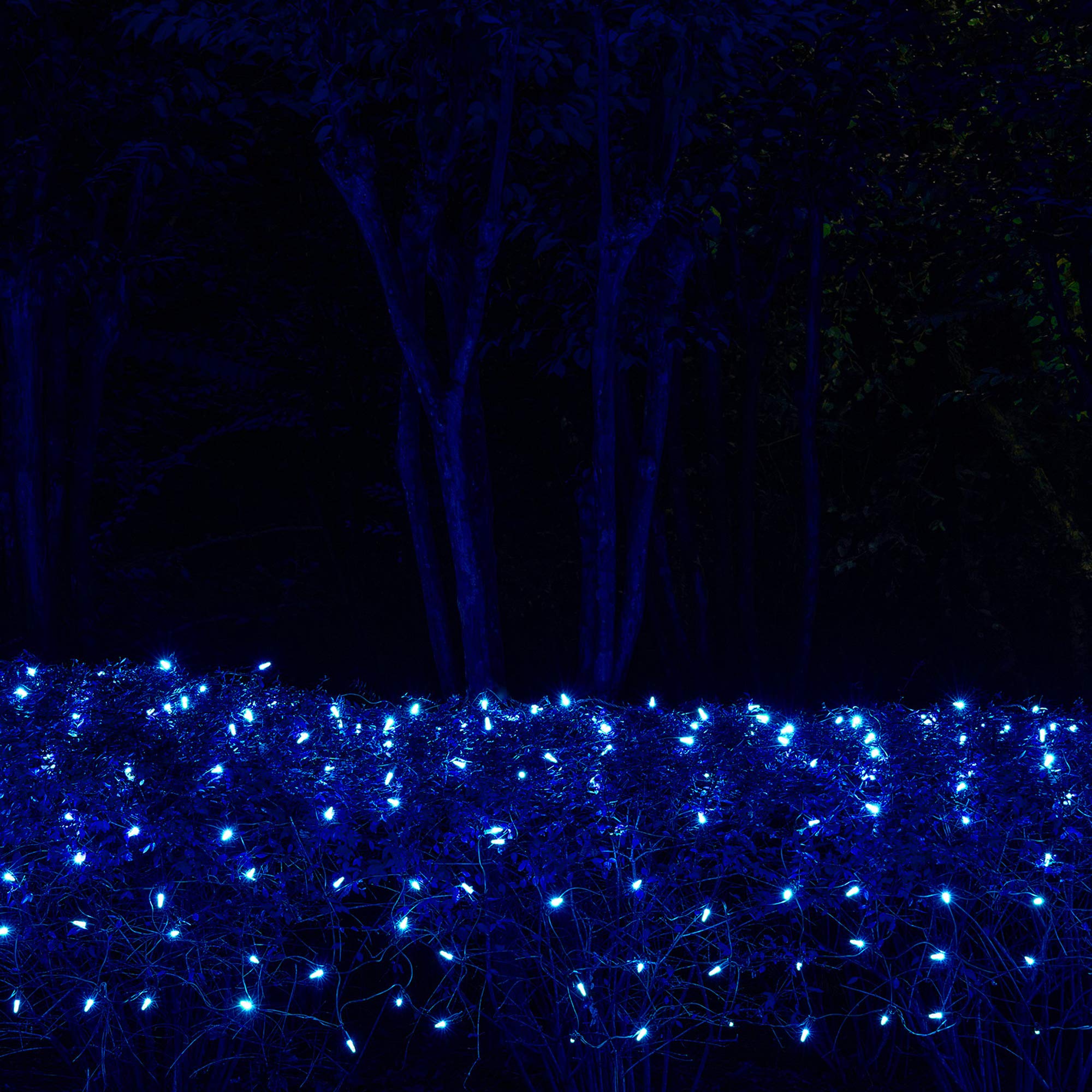 Blue LED Net Lights Outdoor - Wintergreen Holiday & Christmas Decor (4x6ft, 100 LEDs) for Hedges & Trees
