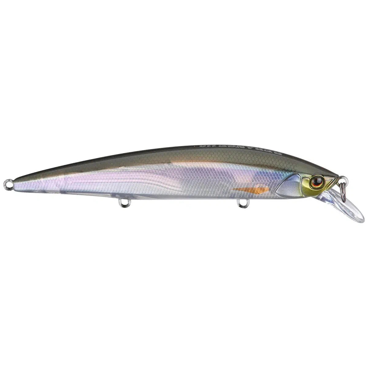 Burgundy Shad