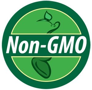 Organic Non-GMO Bulk Mammoth Grey Stripe Sunflower Seeds (Helianthus annuus) - 1 Pound Bag for Planting, Bird Feeding & Healthy Snacking