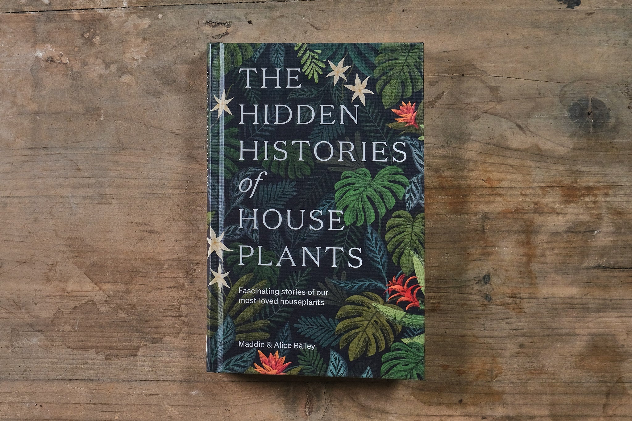 Discover the Hidden Histories of House Plants - Indoor Gardening Secrets, Rare Species & Care Tips for Home Decor & Wellness
