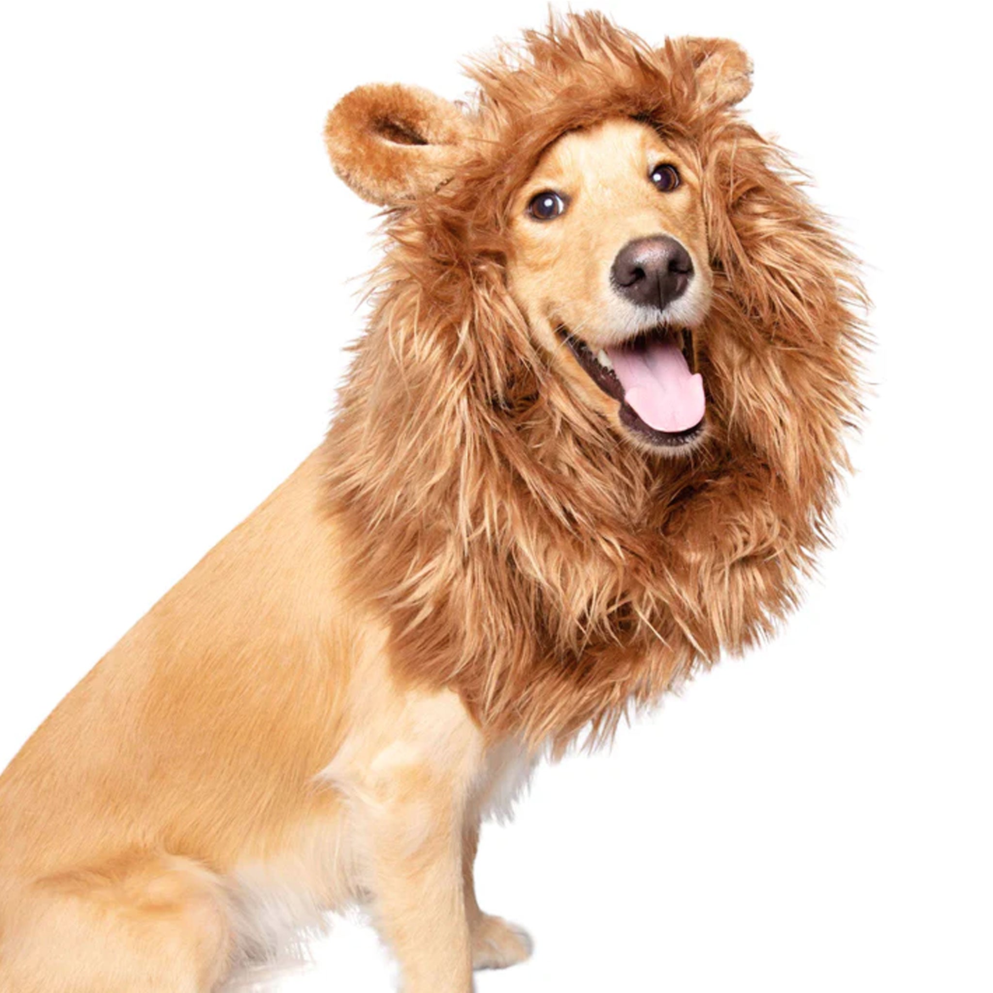 Premium Lion's Mane Pet Costume for Dogs & Cats - Soft & Comfortable Halloween Dress Up - Perfect for Halloween, Cosplay & Photo Shoots