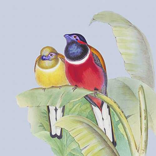 Red Nape Trogon Bird Naturalist John Gould Counted Cross Stitch Pattern