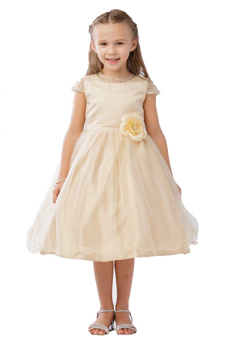 Tip Top Kids 5729 Girls White Beaded Mesh Sleeve & Neckline Tulle Party Dress - Perfect for Birthday, Wedding & Special Occasions