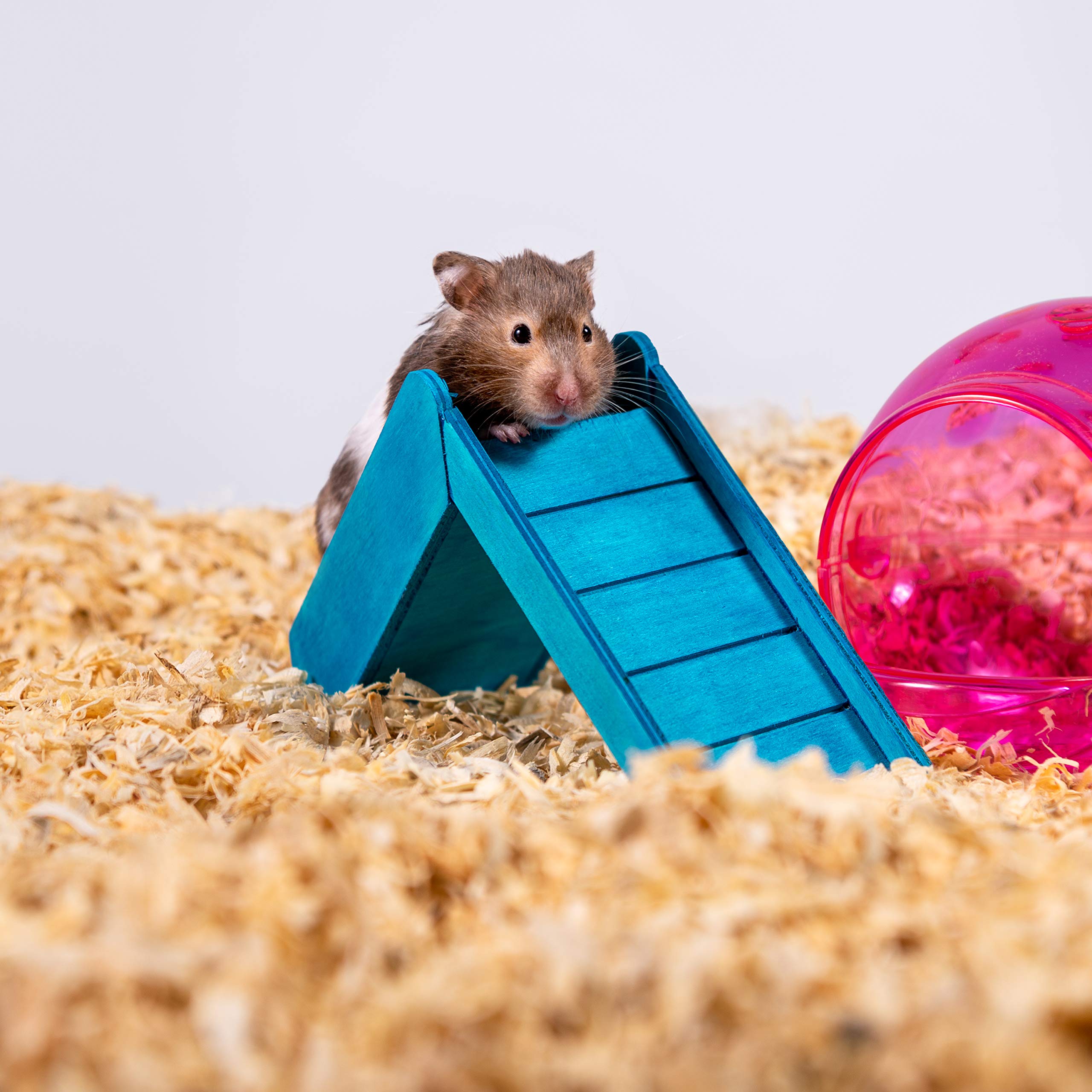 Premium Pine Small Pet Bedding - 141L (3.7 Cubic Feet) | Natural, Odor-Control Wood Shavings for Hamsters, Rabbits & Small Animals | Ideal for Cages, Hutches & Nesting Areas