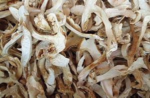 Premium Dried Matsutake Mushroom - 260g Gourmet Grade | Perfect for Soups, Risottos & Asian Cuisine