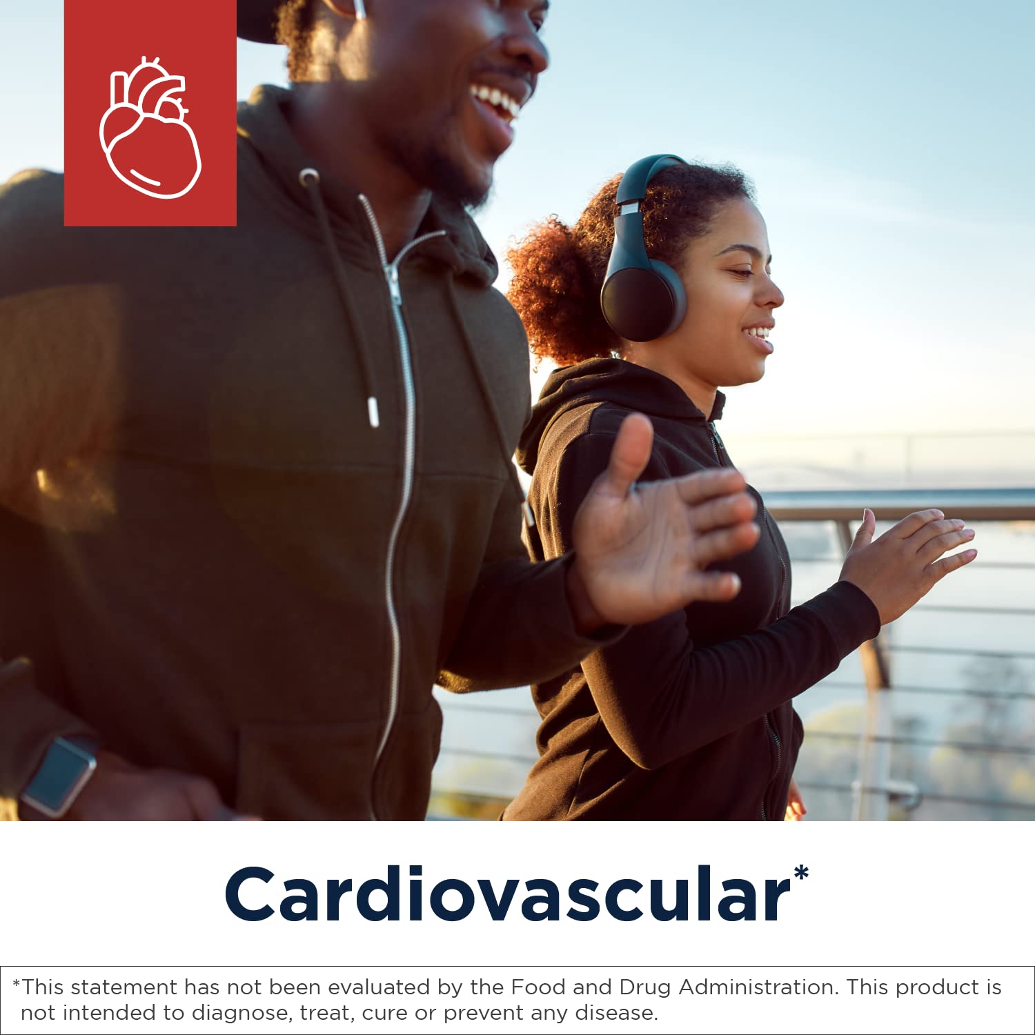 Designs for Health RYR Synergy - 1200mg Red Yeast Rice & CoQ10 Supplement for Cardiovascular Support & Healthy Cholesterol Levels (120 Capsules) - Ideal for Heart Health Maintenance & Daily Wellness Routine