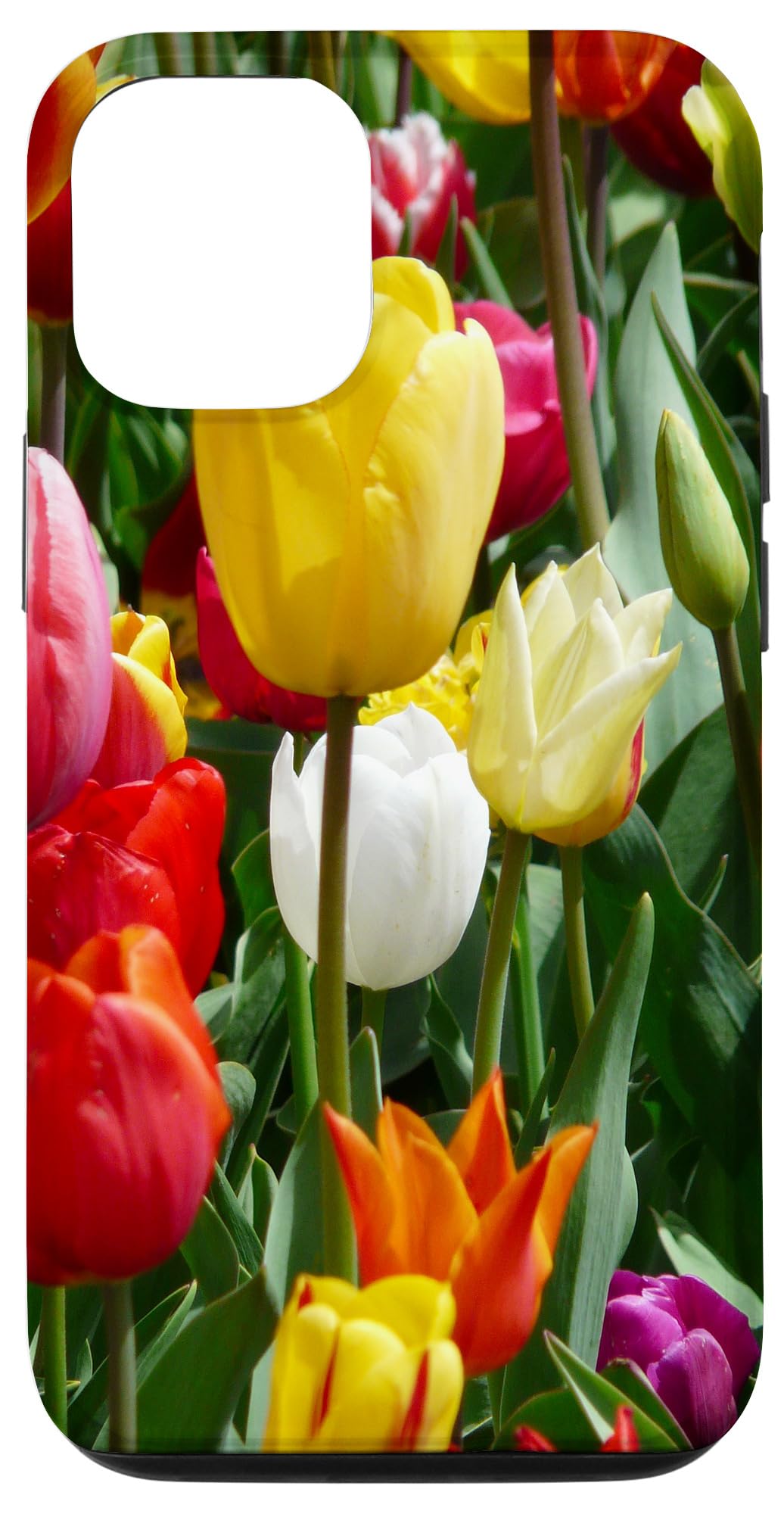 iPhone 12/12 Pro Floral Case - Colorful Tulip Botanical Design for Plant Lovers | Trendy Protective Cover for Everyday Use, Work & Outdoor Activities