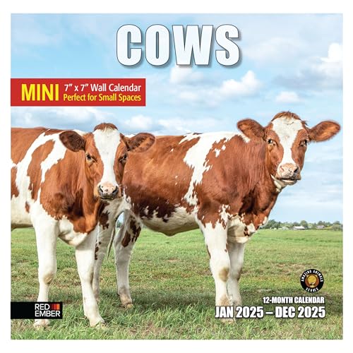 08 - Cows