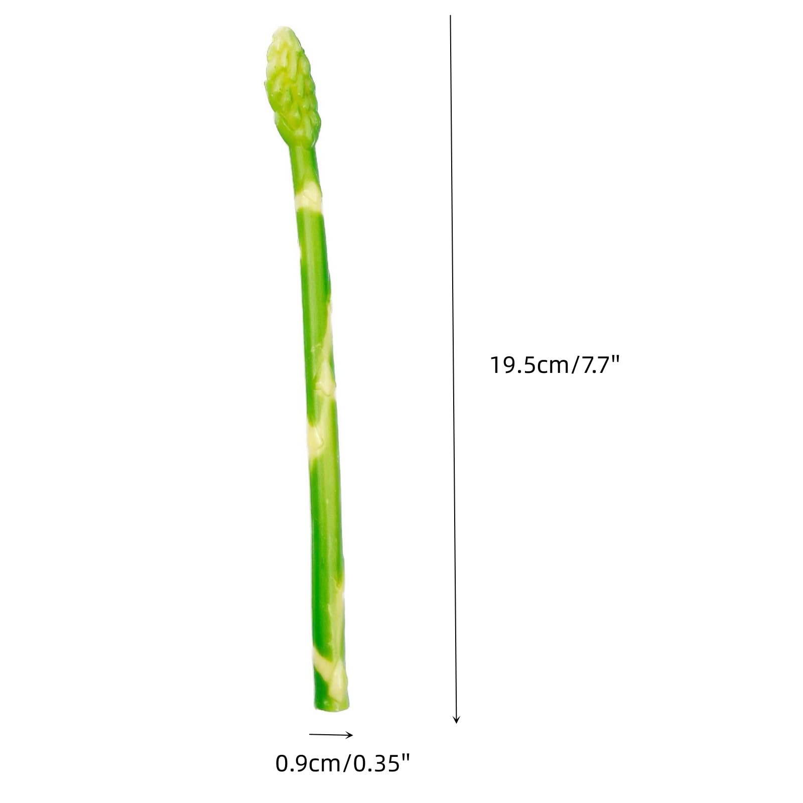 12Pcs Realistic Fake Asparagus - Artificial Lifelike Vegetable Model for Home Kitchen Display, Photography Props | Perfect for Food Styling, Decoration & Visual Merchandising