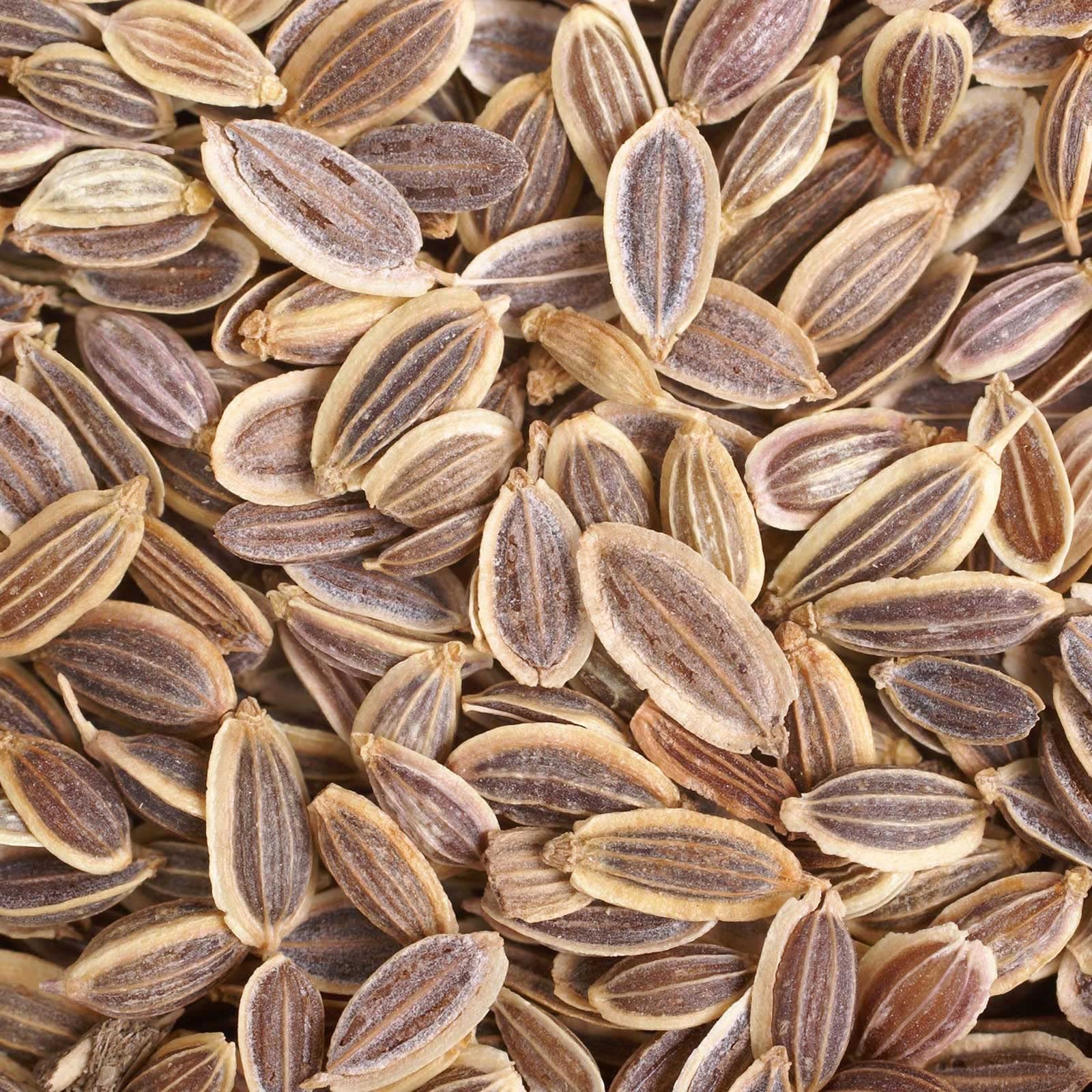 Eden Brothers Dill Seeds - Long Island Mammoth Variety | Premium Herb Seeds for Cooking, Pickling & Gardening | Perfect for Home Gardens & Culinary Use