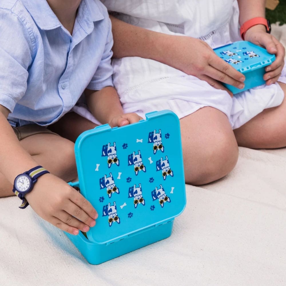 Leakproof Cool Pup Bento Lunch Box for Kids & Adults - 3 Compartment Insulated Food Container for School, Work & Picnics