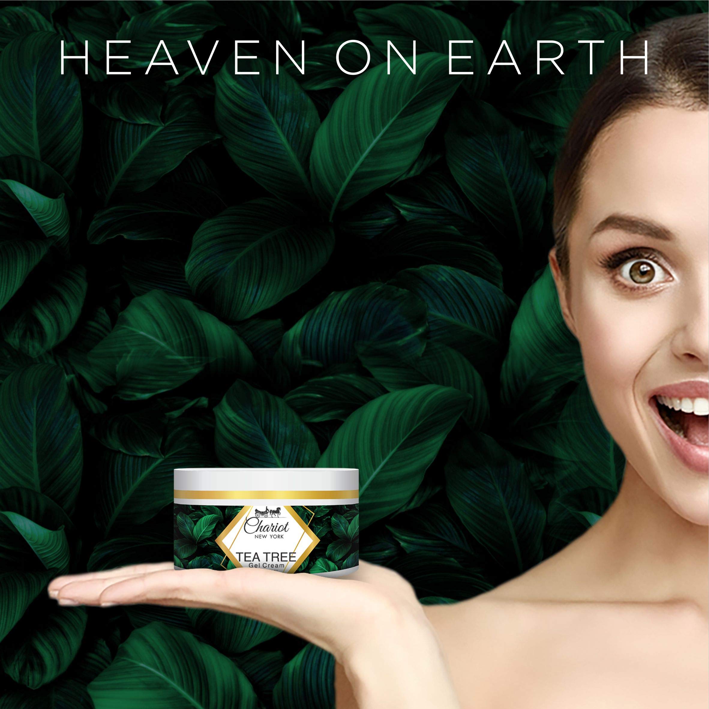 Chariot New York Tea Tree Face Gel Cream 50gm - Oil-Free Hydrating Moisturizer for Acne-Prone Skin | Perfect for Daily Skincare Routine & Blemish Control