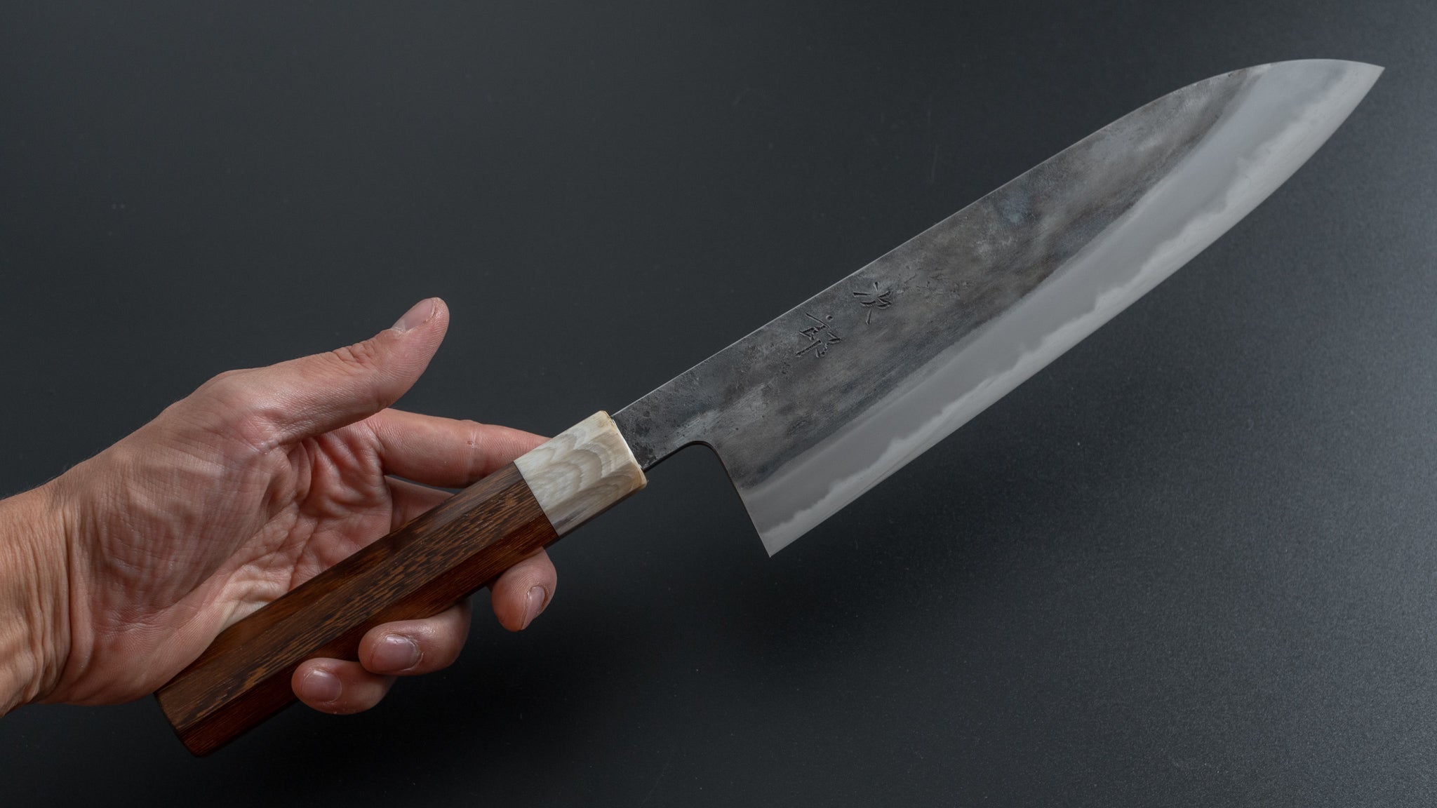 Premium Jiro Tsuchime Wa Gyuto 225mm Japanese Chef Knife with Taihei Tagayasan Handle (#283) - Perfect for Sushi, Meat Slicing & Professional Kitchen Use