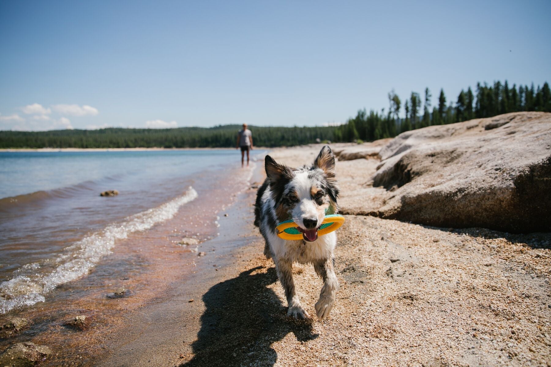 Ruffwear Hydro Plane™ Floating Dog Disc Toy - Tangelo Orange, Waterproof & Durable for Pool, Beach & Outdoor Play - Perfect for Fetch Games with Dogs