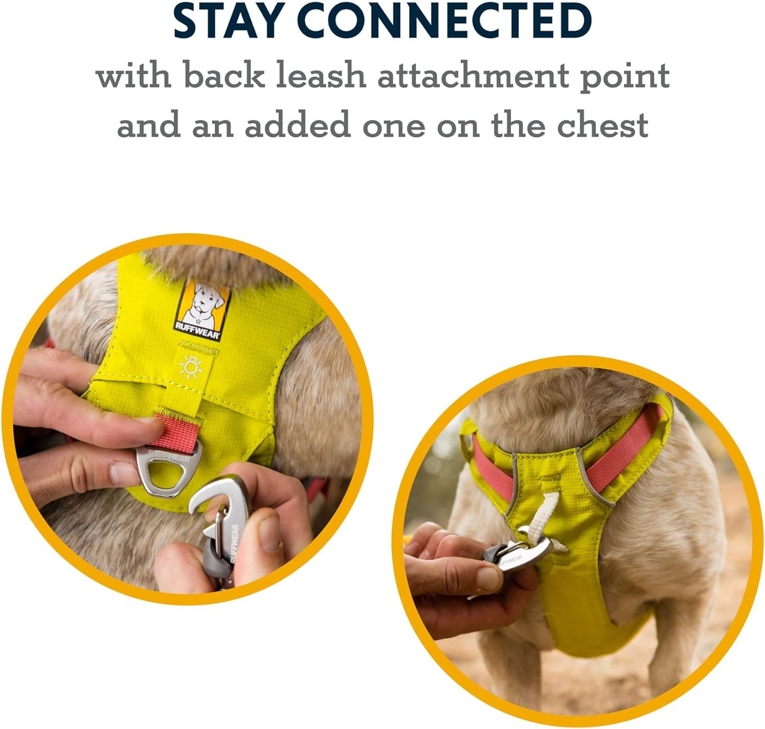 Ruffwear Hi & Light Everyday Lightweight Dog Harness for Trail Running, Walking & Hiking - All-Day Comfort in Lichen Green (X-Small) - Perfect for Active Dogs and Outdoor Adventures