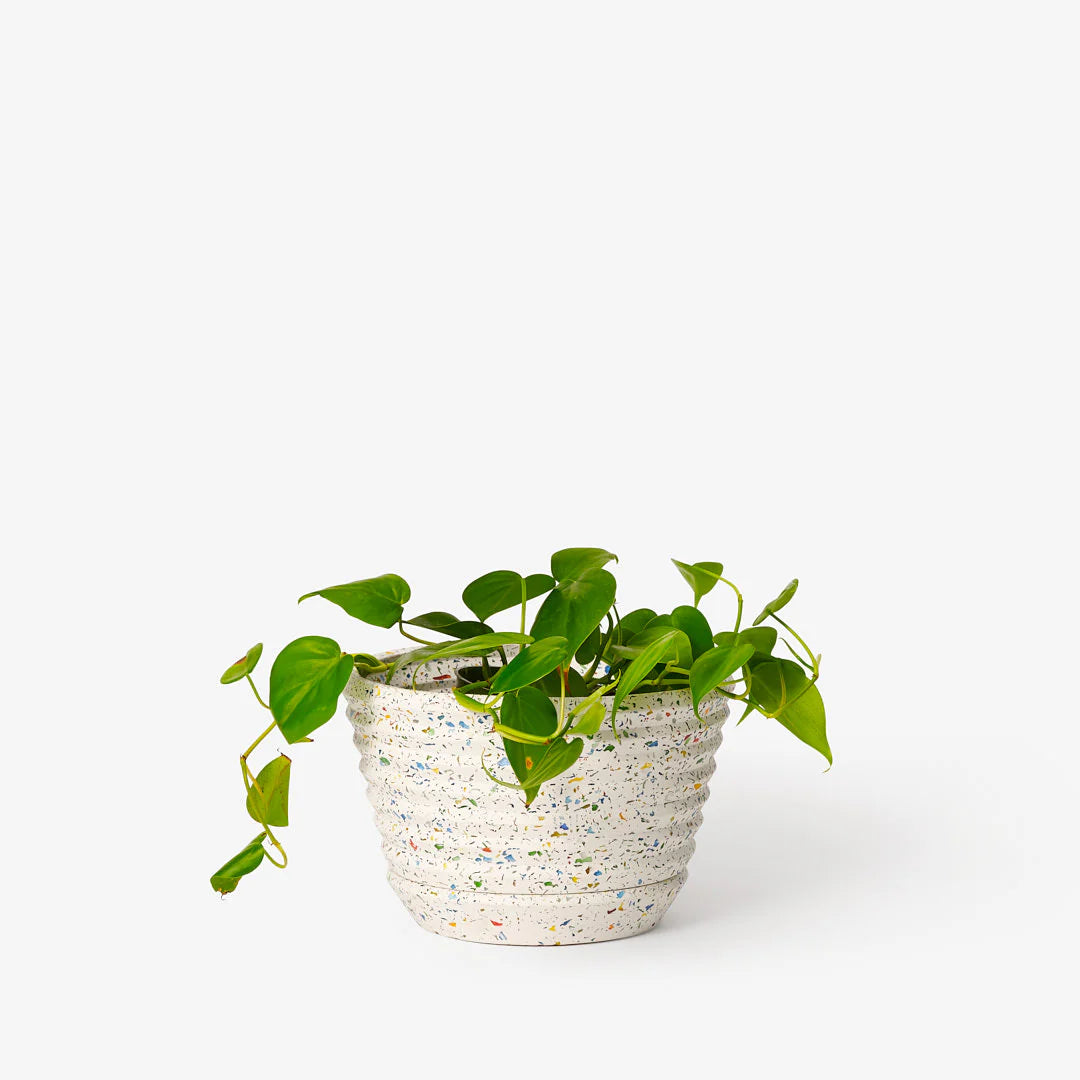 Racine Planter - Premium Indoor/Outdoor Plant Pots for Home & Garden Decor - Perfect for Succulents, Herbs, and Flowers