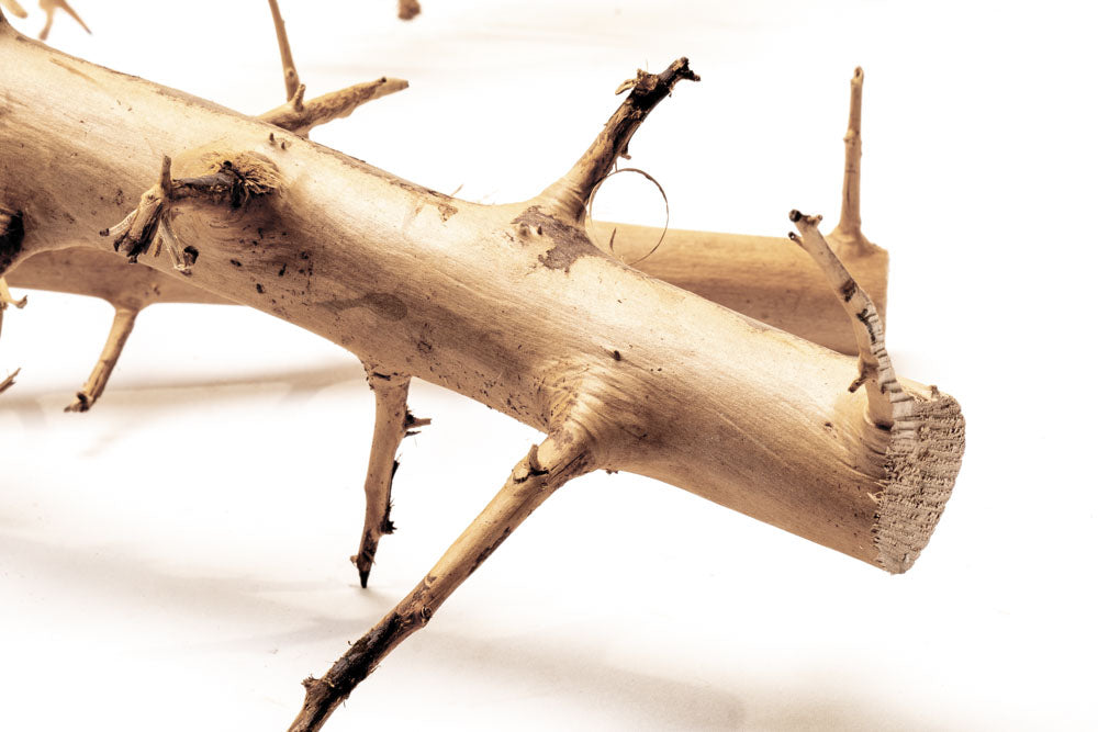 Premium Thorn Wood for DIY Crafts, Home Decor, and Woodworking Projects – Perfect for Rustic Furniture, Wall Art, and Handmade Gifts