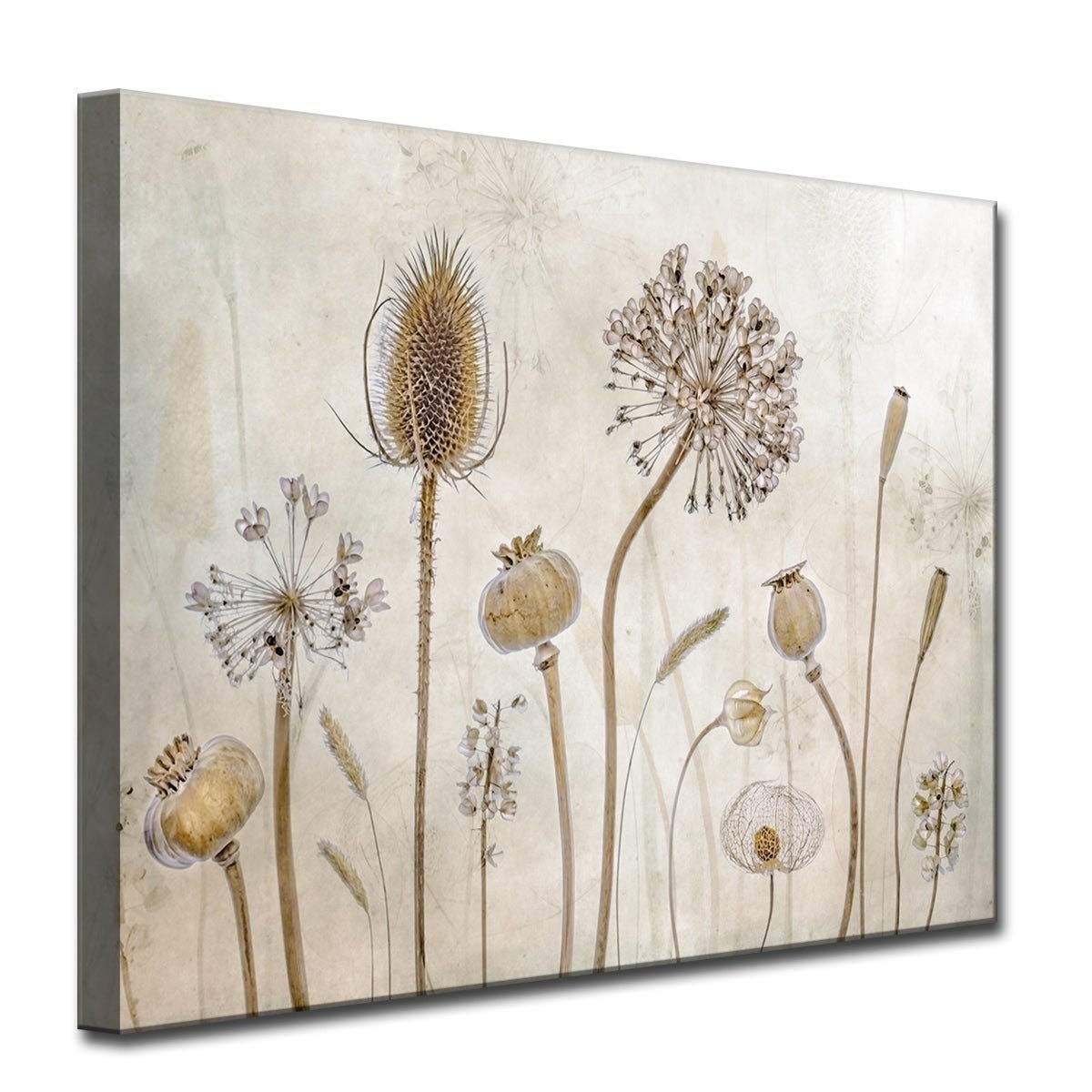 Ready2HangArt 'Growing Old' Floral Wrapped Canvas Wall Art - 30x40 Inches - Perfect for Living Room, Bedroom & Office Décor