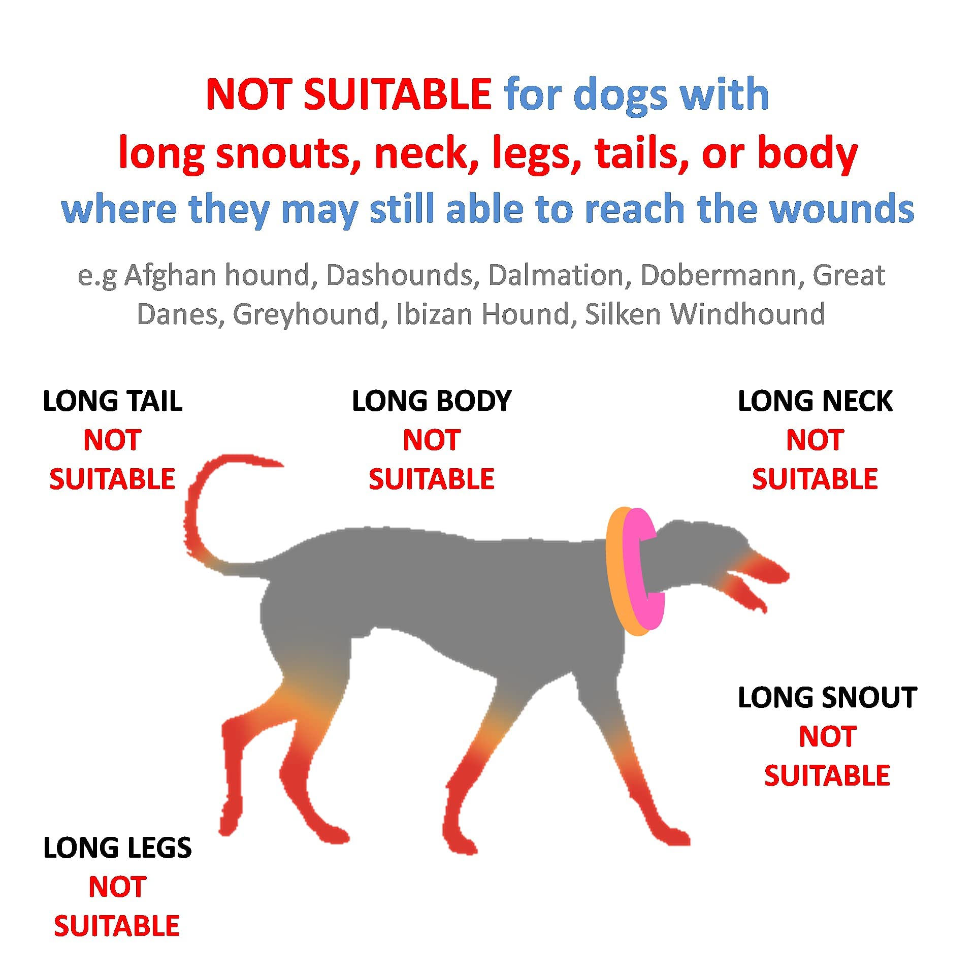 **Inflatable Dog Donut Collar - Soft Recovery Cone for Dogs After Surgery, Comfortable Elizabethan Collar Alternative (Medium Size) - Perfect for Post-Surgery Healing & Wound Protection**