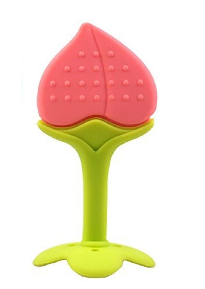 BPA-Free Silicone Fruit Teether for Babies 6-12 Months | Safe Infant Teething Toy for 3-6 Month Olds | Pack of 2 Assorted Shapes | Perfect for Soothing Sore Gums at Home or On-the-Go