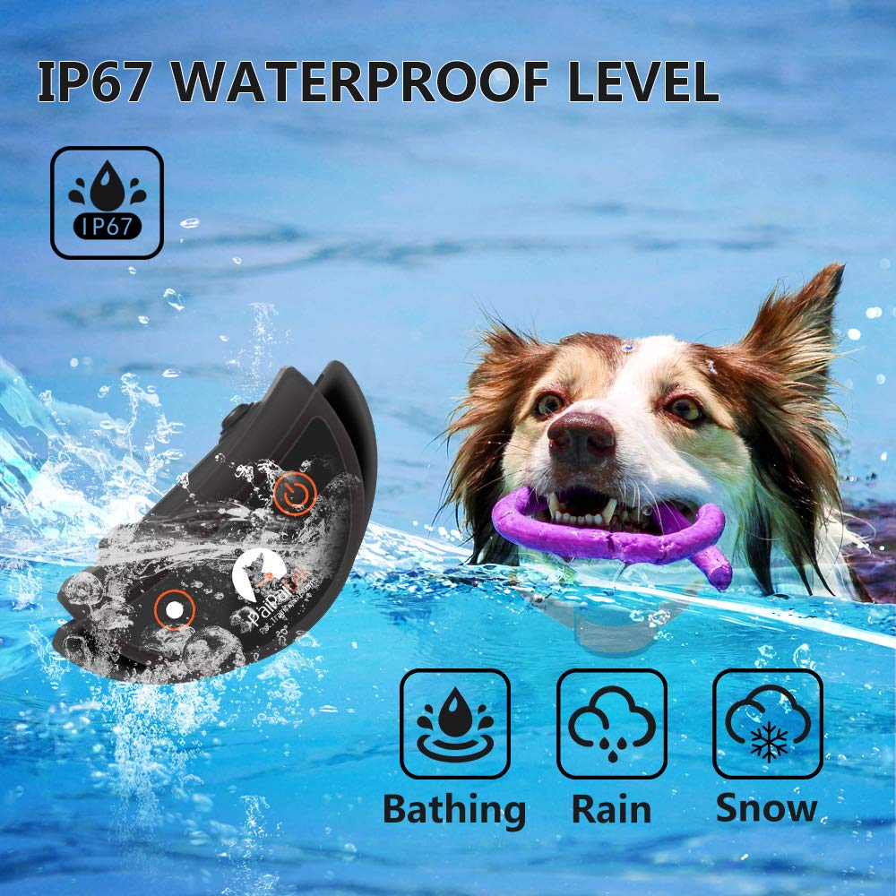 PaiPaitek No Shock Dog Training Collar with Remote - Lightest Rechargeable Vibration Collar for Small (5-15lbs) & Medium/Large Dogs - Waterproof, 1600ft Range, No Prongs - Perfect for Obedience Training, Bark Control & Outdoor Adventures