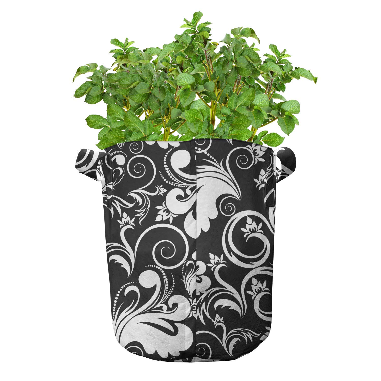 Lunarable 7 Gallon Flower Grow Bags 5-Pack - Heavy Duty Fabric Pots with Handles for Plants, Black & White Foliage with Curlicue Spiral Design - Perfect for Indoor/Outdoor Gardening, Vegetables, Herbs & Flowers