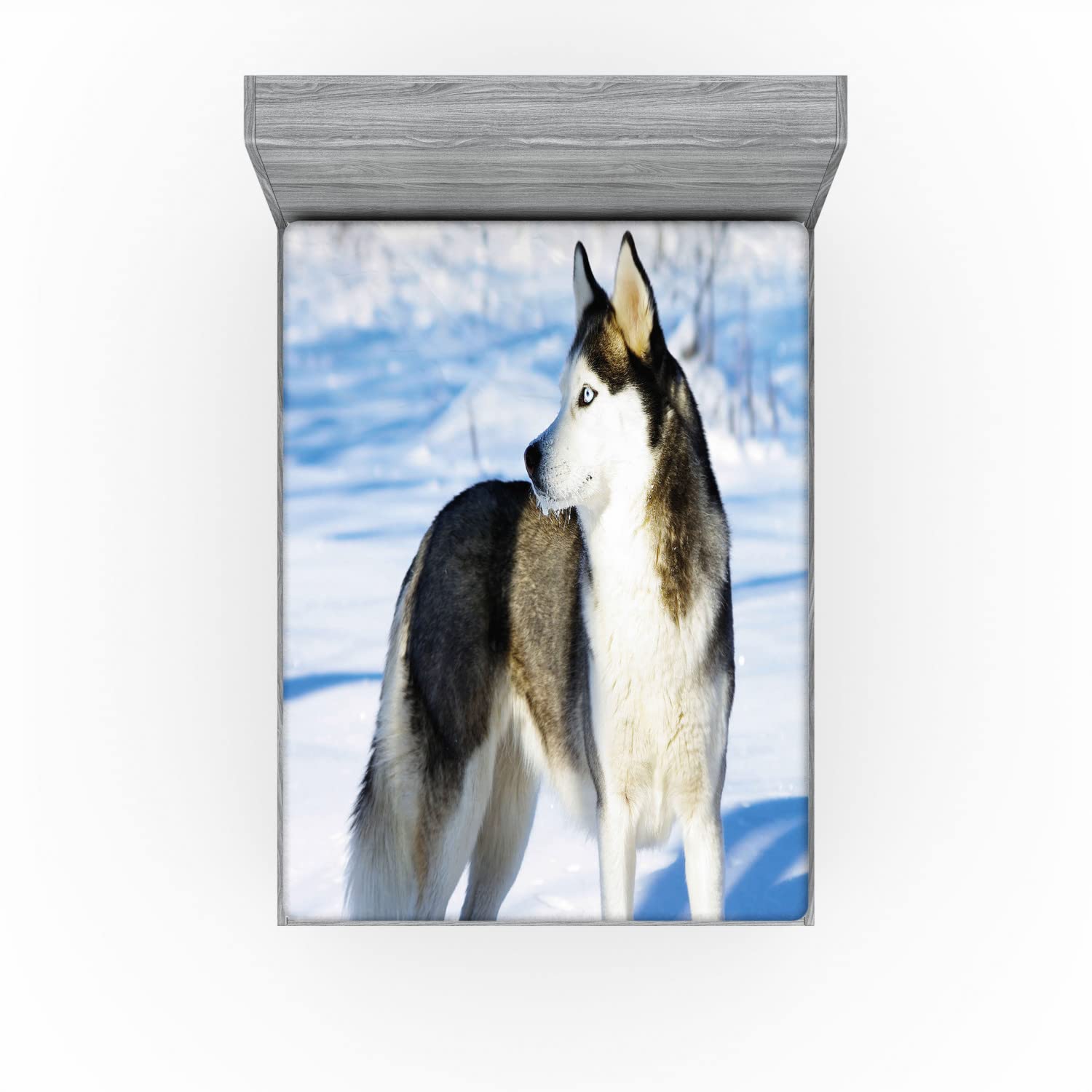 Ambesonne Alaskan Malamute Fitted Sheet - Queen Size, Black White Blue - Cozy Bed Cover for Winter
