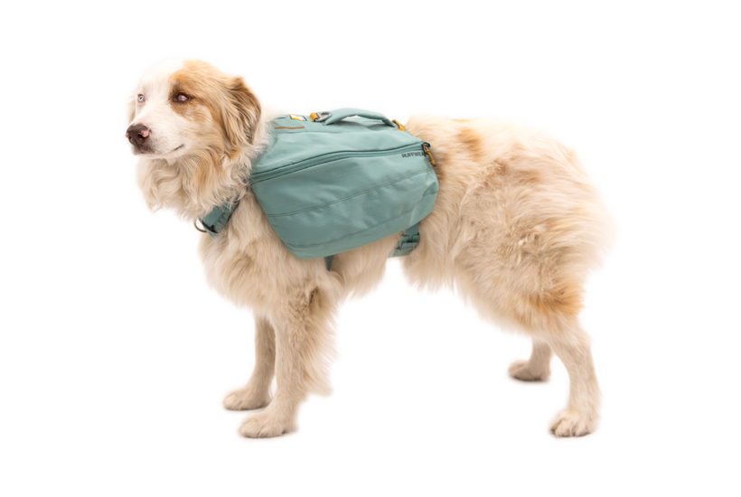 Ruffwear Front Range Dog Backpack - Lightweight Hiking Pack for Dogs, Adjustable Harness, River Rock Green - Perfect for Outdoor Adventures, Camping & Daily Walks