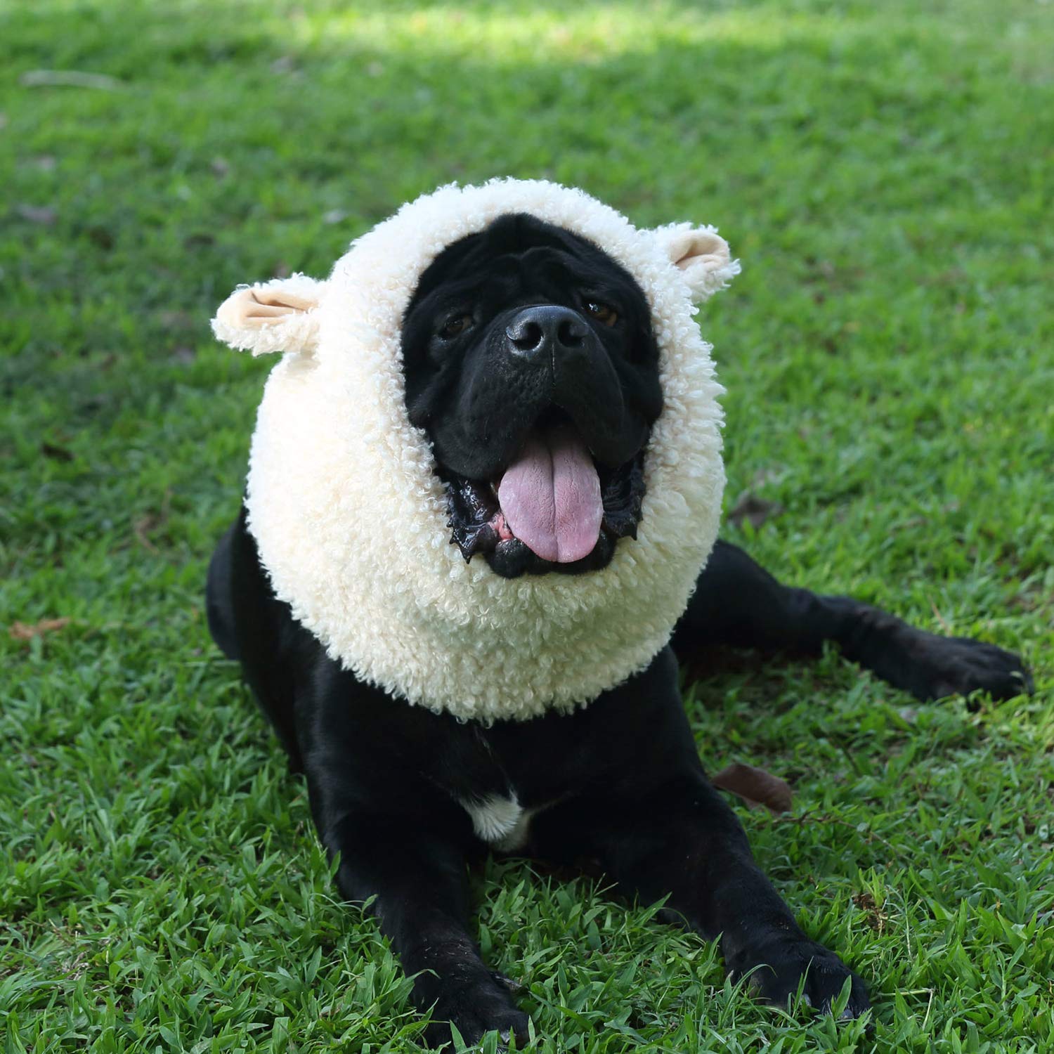 Funny Sheep Dog Costume - Cute Furry Pet Wig for Halloween & Christmas - Size L for Playful Dress-Up