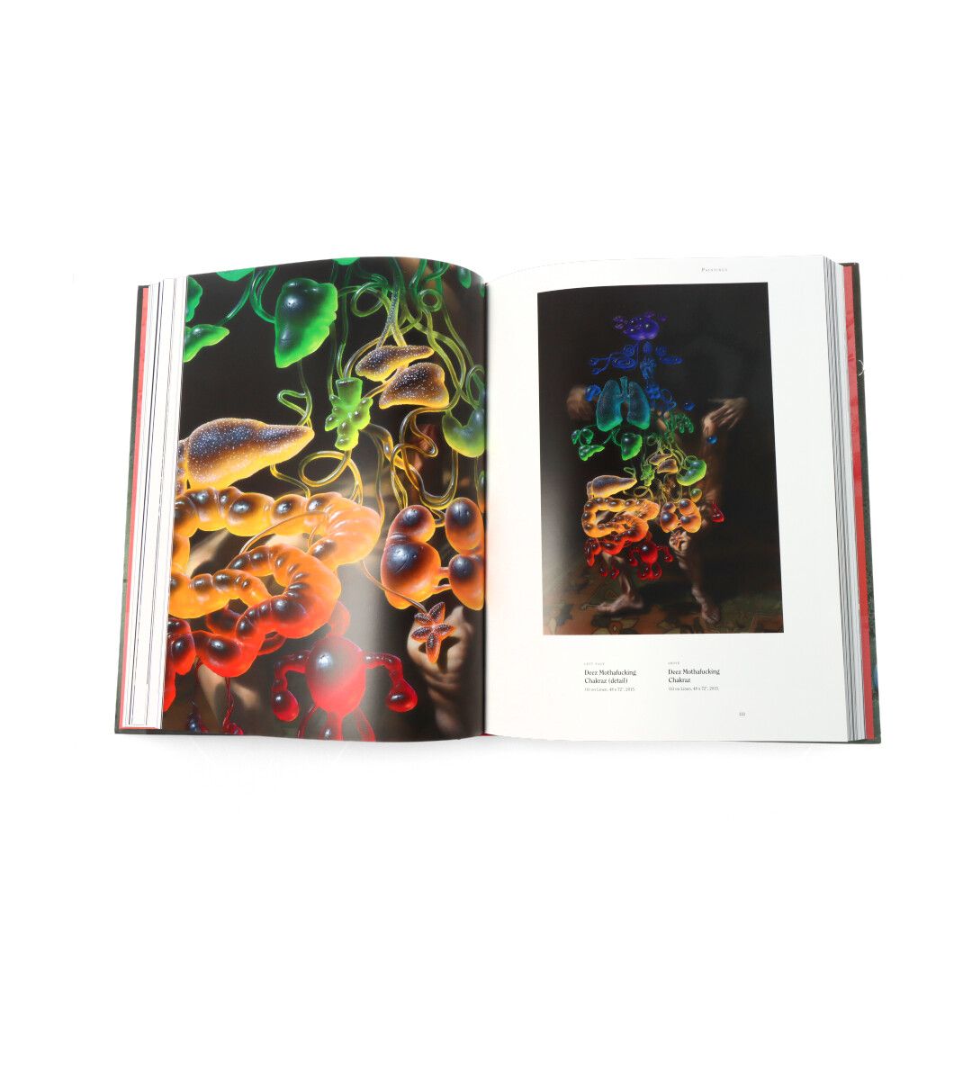 Christian Rex Van Minnen Massa Confusa Art Book - Surreal Oil Paintings Collection for Contemporary Art Lovers | Perfect for Home Decor & Art Inspiration