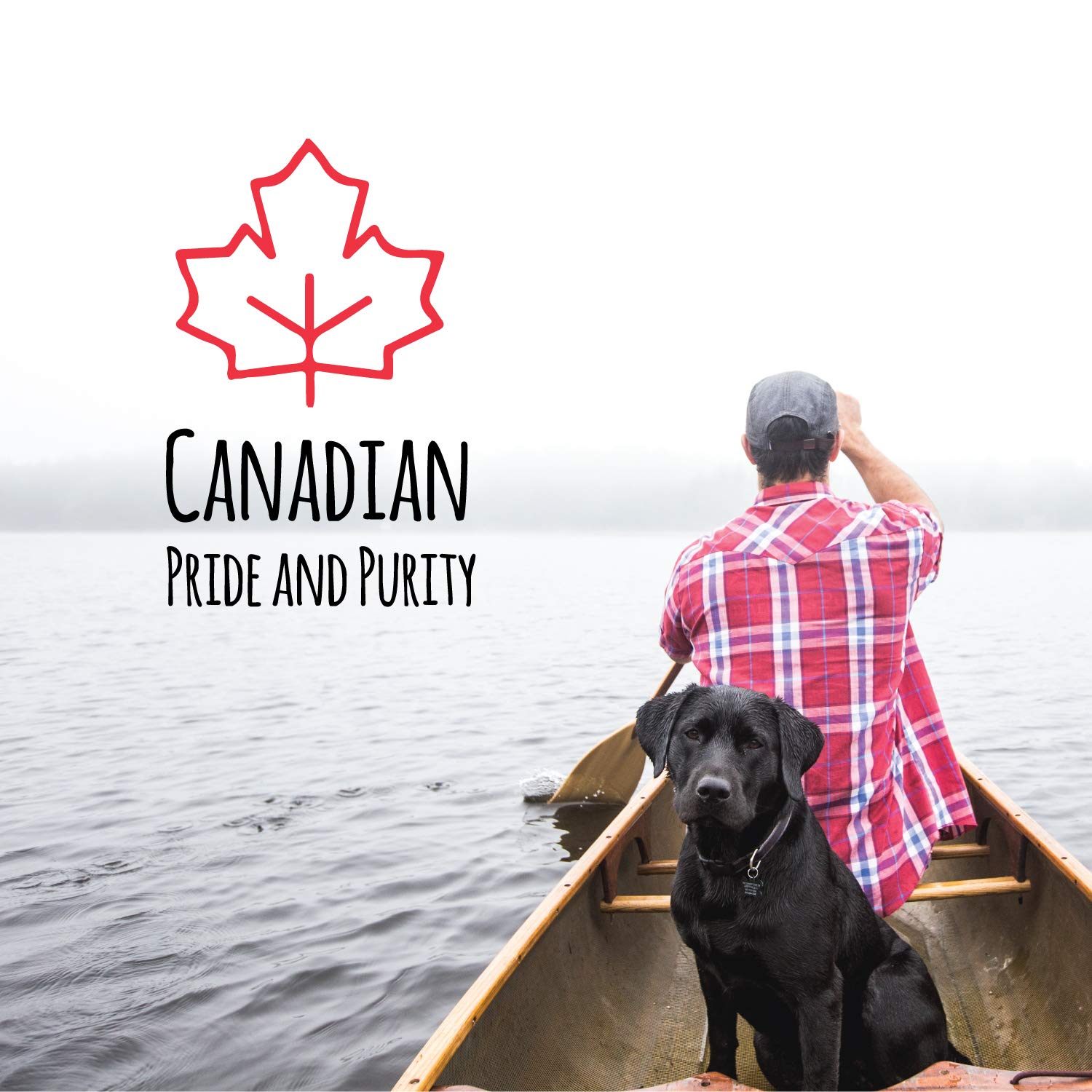 Natural Oven-Baked Pig Ears Dog Treats (100-Pack) - Healthy Protein Snacks for Training, Dental Care & Chewing | Made in Canada | Perfect for Puppy Teething, Senior Dogs & Reward Treats