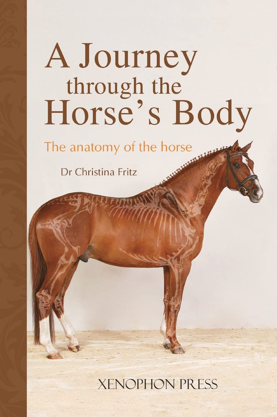 Comprehensive Guide to Horse Anatomy - Detailed Exploration of Equine Body Structure | Perfect for Veterinarians, Equestrians & Animal Science Students