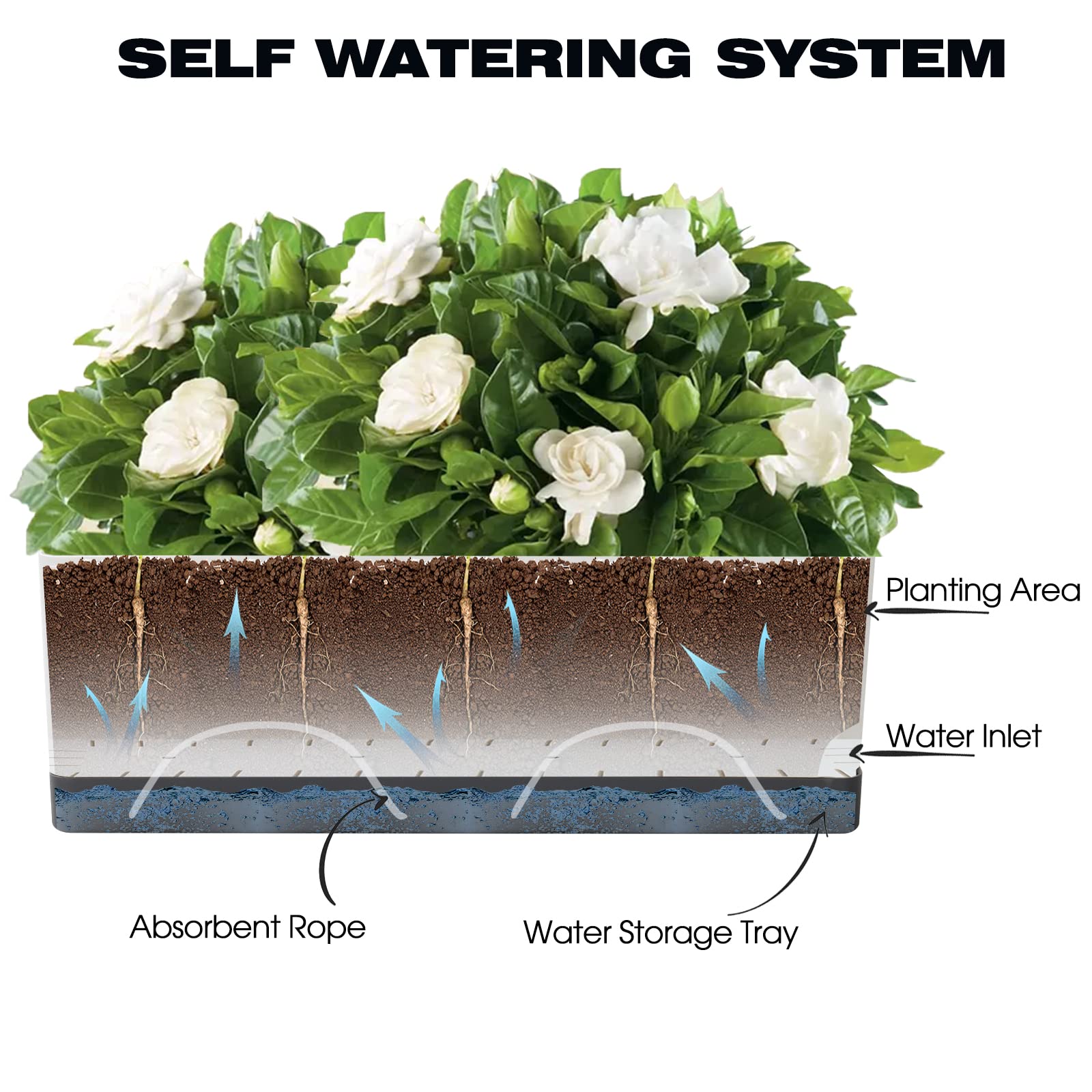 7 Pack Self Watering Plant Pots for Indoor Plants - 4, 8 & 17 Inch Plastic Window Box Planters with Drainage & Saucer - Perfect for Herbs, Flowers & Windowsill Gardening