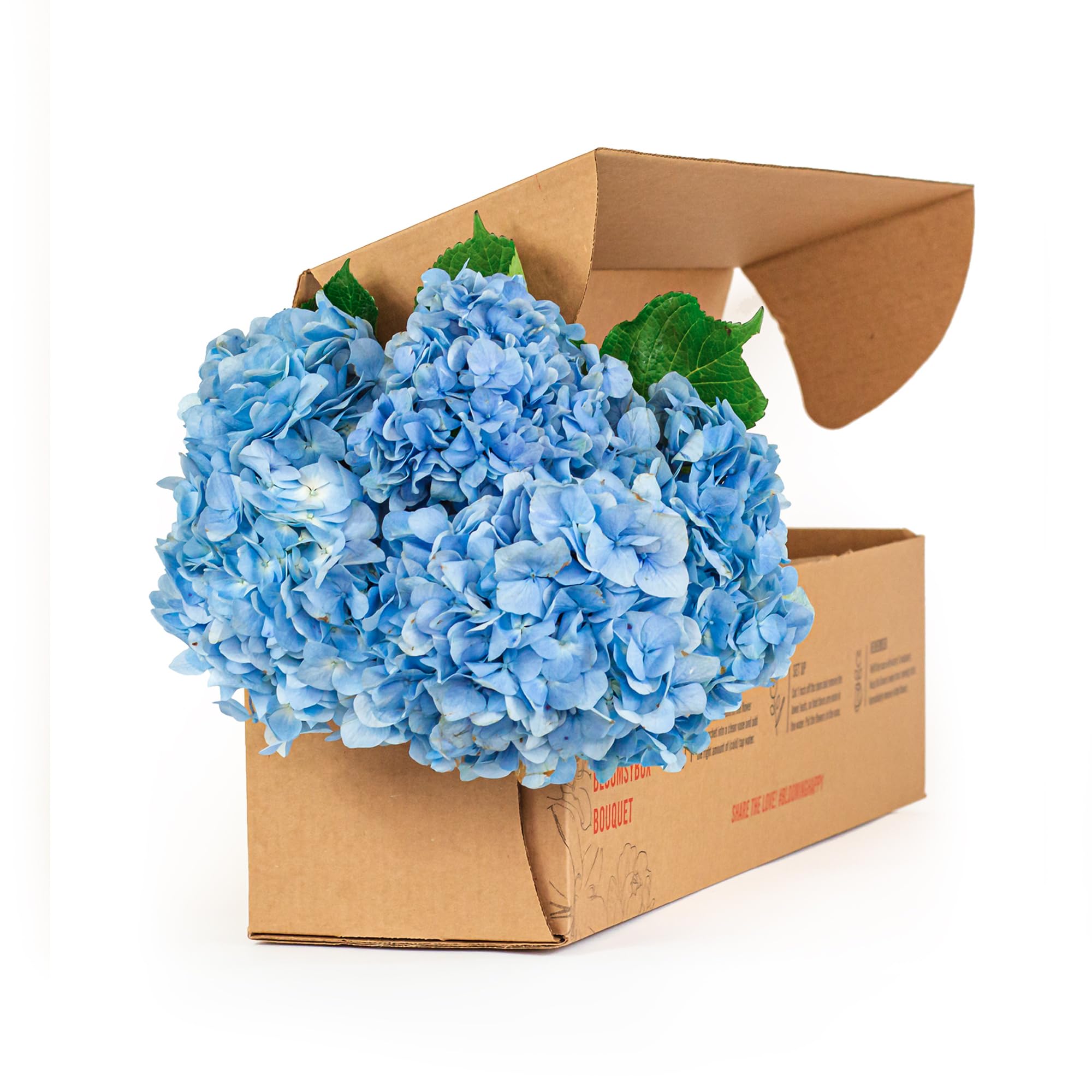 BloomsyBox Farm-Fresh Blue Hydrangea Bouquet with Care Card & Flower Food - Perfect for Birthday, Anniversary & Wedding Flower Delivery | Fresh Cut Flowers for Home Decor, Gift Giving & Special Occasions