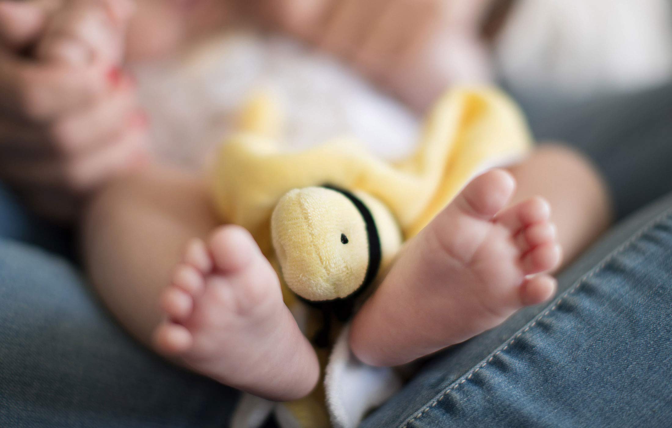 Burt's Bees Baby Unisex Organic Cotton Gift Set - Reversible Jersey Blanket, Adjustable Infant Booties & Plush Bee | Newborn Essentials Bundle for Baby Shower, Christening & Nursery Decor