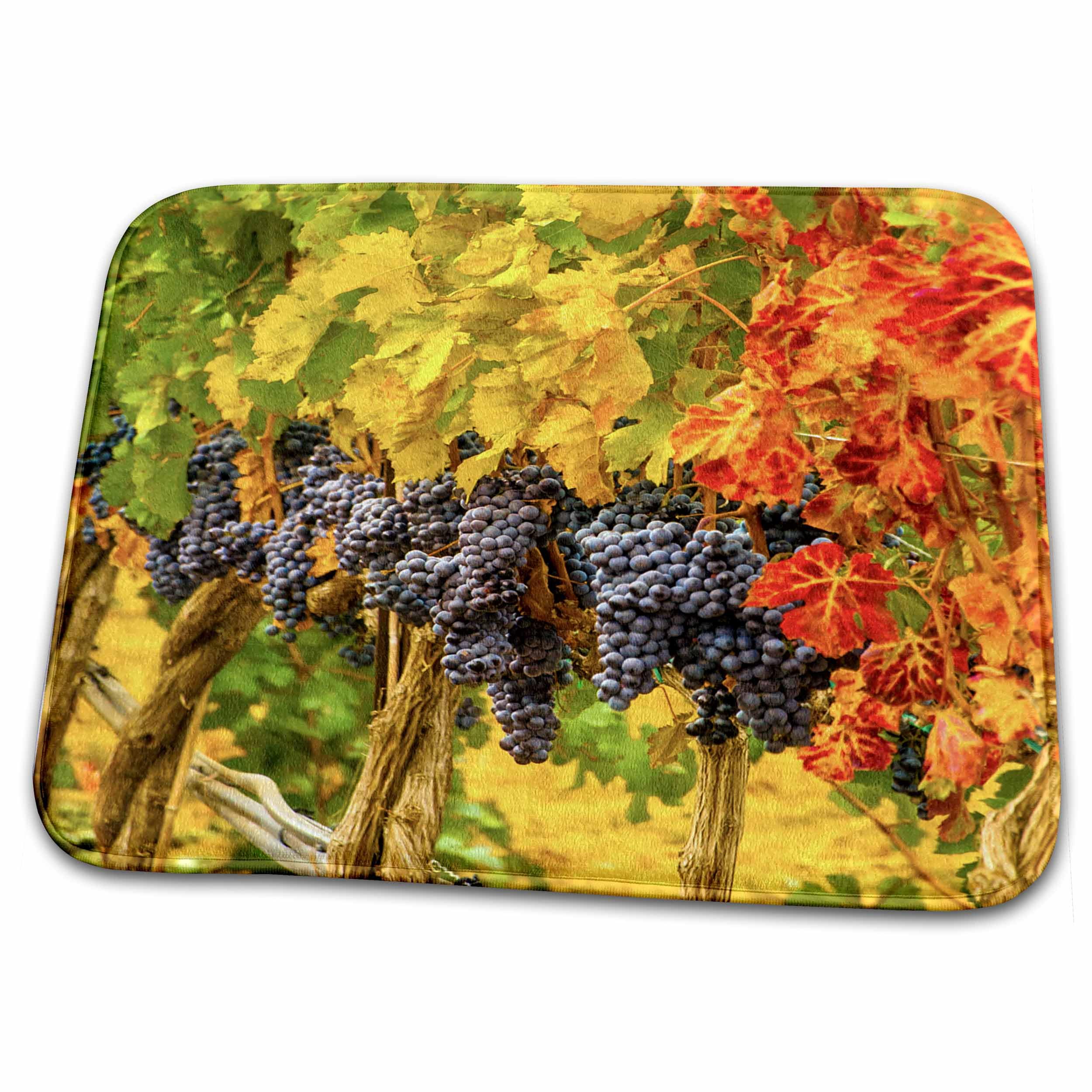 3D Printed Cabernet Sauvignon Grapes Bath Rug Mat - Eastern Washington Inspired Non-Slip Bathroom Floor Mat for Wine Lovers & Home Decor