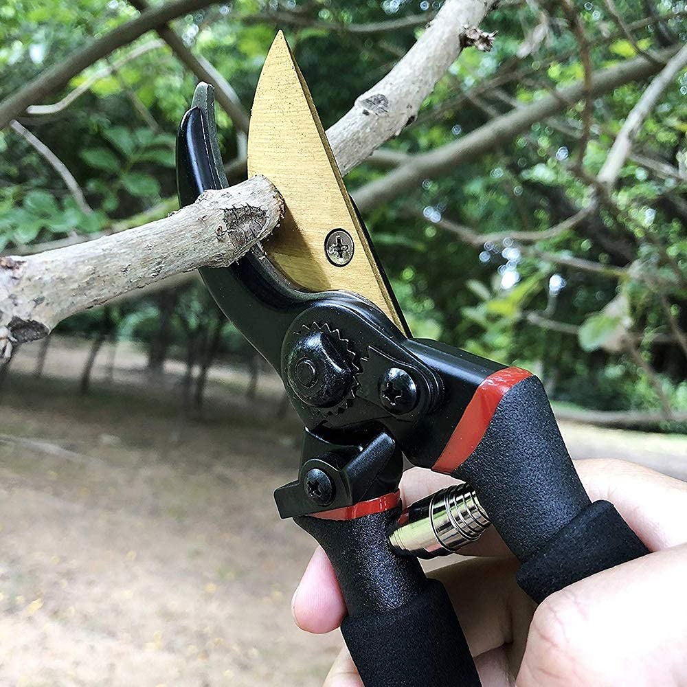 Professional Gardening Scissors & Pruning Shears with Safety Lock - Sharp Stainless Steel Blades for Tree Trimming, Plant Pruning & Landscaping - Ergonomic Non-Slip Handle for Comfortable Use (Ideal for Gardeners, Florists & DIY Enthusiasts)