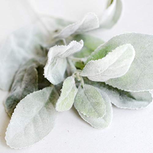 Artificial and Dried Flowers - Faux Foliage Plants for Home Decor, Wedding, Christmas, Fall & Autumn Decorations - DIY Fake Leaves (Type C1) - Perfect for Centerpieces, Table Settings, and Seasonal Displays