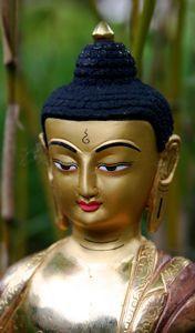 8 Inch Premium Shakyamuni Buddha Statue - Handcrafted Meditation Sculpture for Home Altar, Yoga Studio & Spiritual Decor