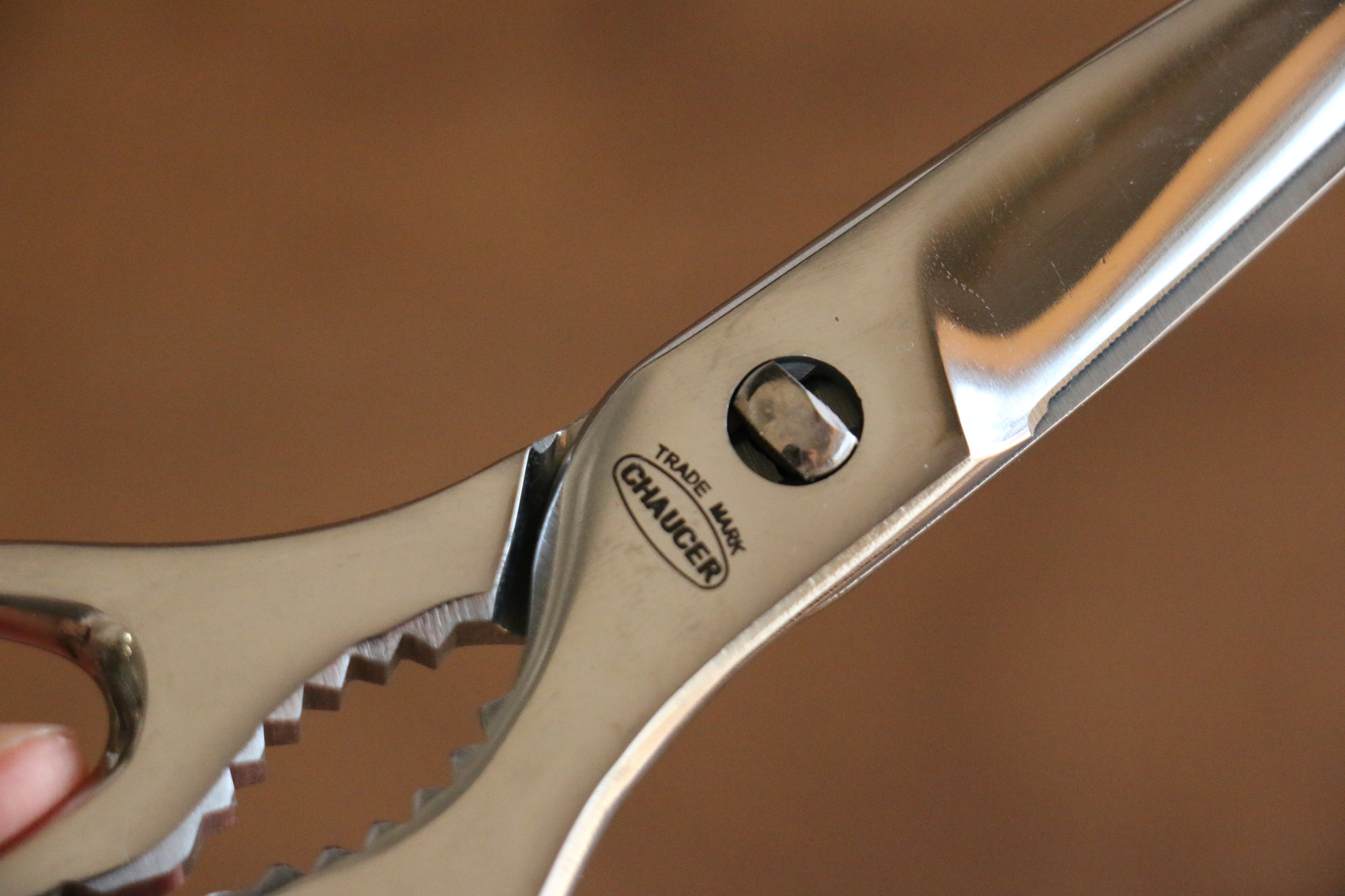Premium Kokkusan Stainless Steel Kitchen Scissors - Heavy Duty Multi-Purpose Food Shears for Cutting Meat, Herbs, Poultry - Perfect for Cooking, Baking & Food Prep