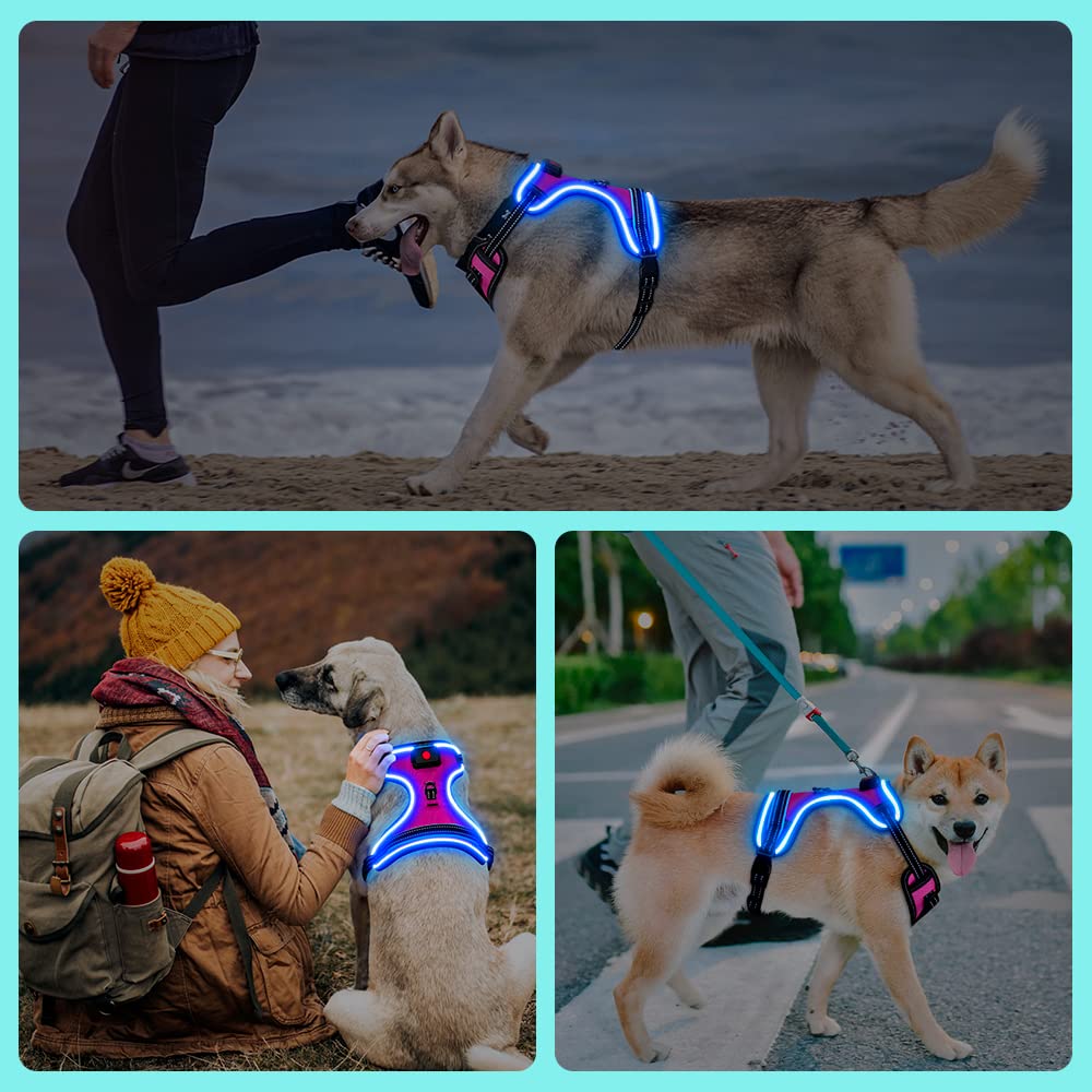 BSEEN Rechargeable LED Dog Harness - No Pull Reflective Safety Vest with Light Up Collar for Night Walking, Pink Large - Perfect for Evening Jogs, Dog Parks & Outdoor Adventures