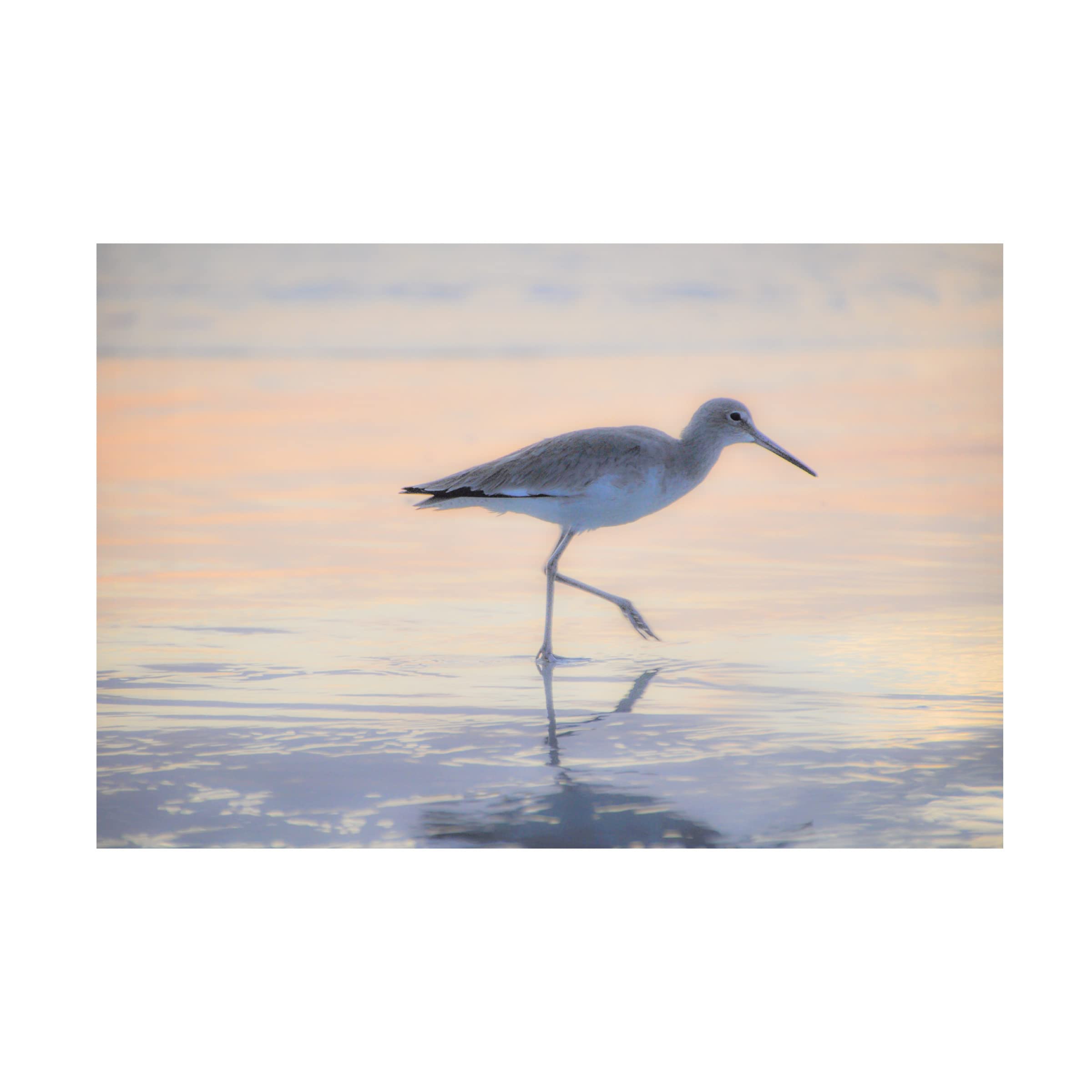 Blue Palomino 'Piper Stalking Her Breakfast' Canvas Wall Art Print - Modern Home Decor for Living Room, Bedroom & Office