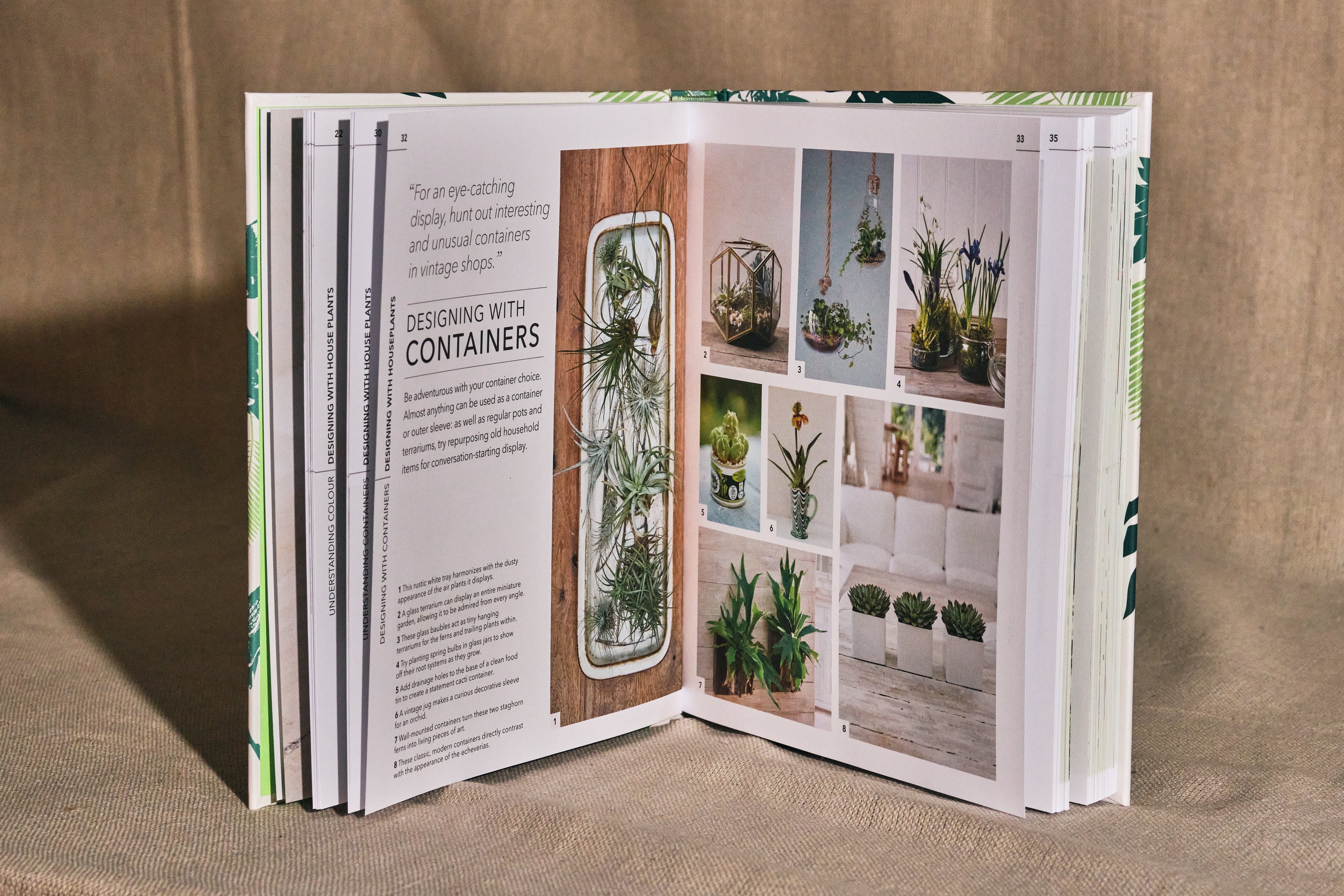 Practical House Plant Book - Essential Guide to Indoor Gardening & Plant Care for Beginners | Perfect for Home, Office & Apartment Decor