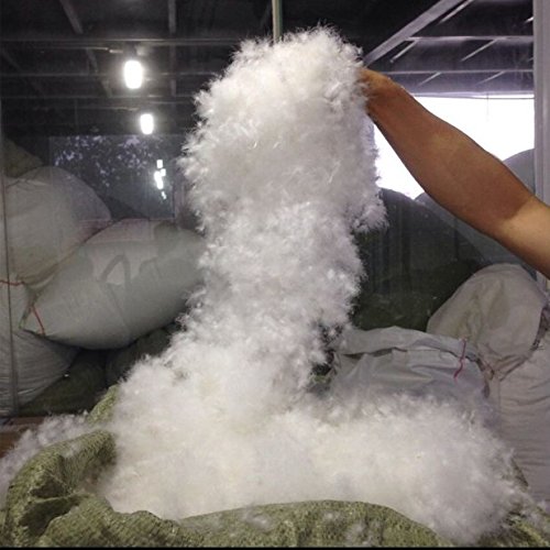 Premium 550 Fill Power White Duck Down - 60% Down & 40% Feather Blend - 1lb Bulk Filling for DIY Pillows, Comforters & Winter Jackets - Hypoallergenic & High Loft Insulation