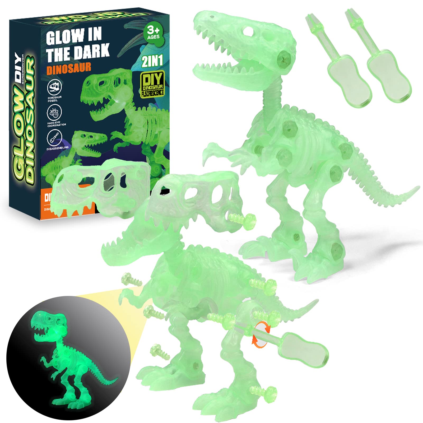 TEUVO Glow in The Dark Dinosaur Fossil Building Toys - 2 Pack STEM Construction Set with Screwdrivers, Educational Take Apart Skeleton Kit for Kids Ages 3-9 | Perfect for Birthday Gifts, Classroom Activities & Science Learning Fun