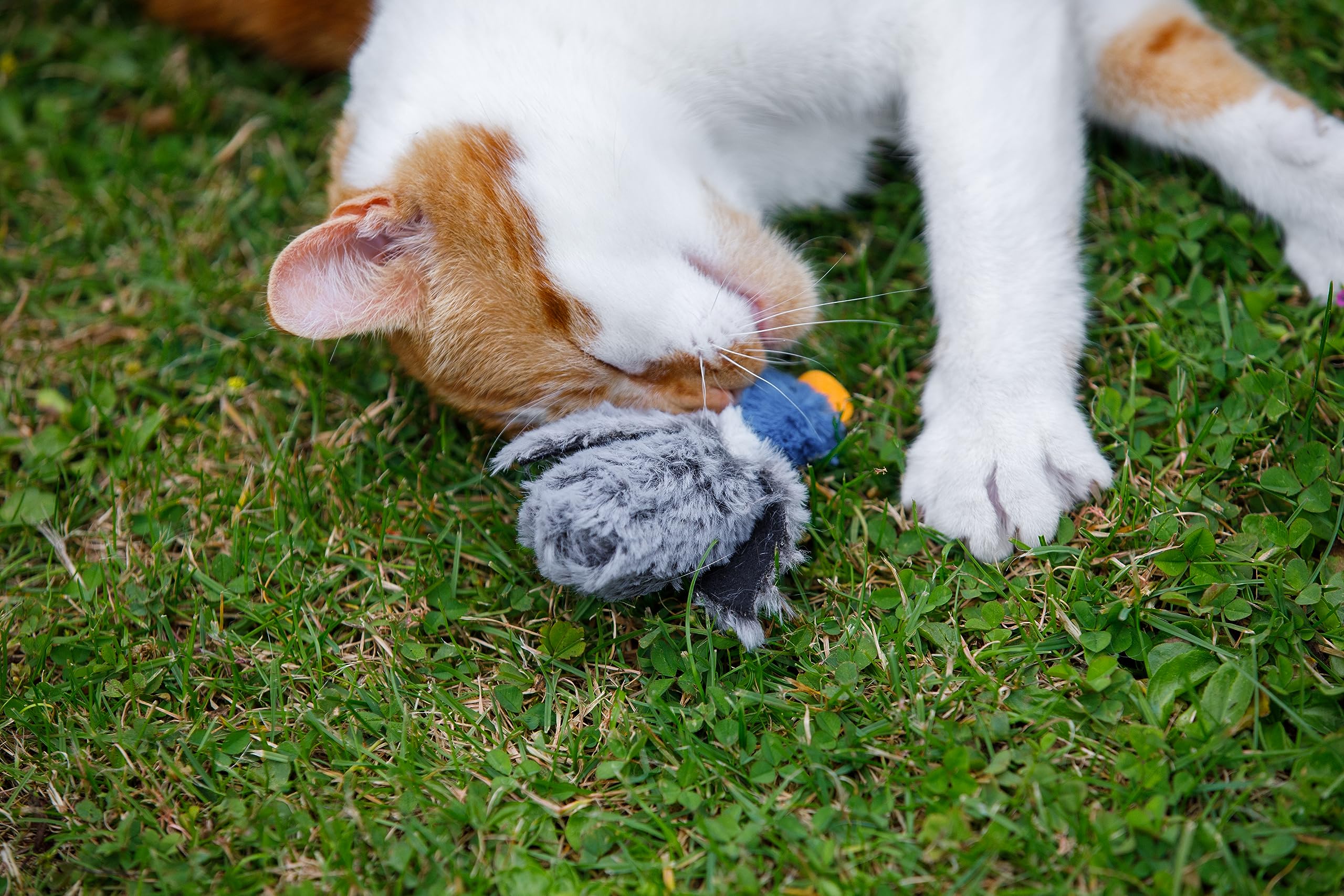 Dudley Duck Interactive Cat Toy - Plush Duck with Catnip for Playful Kittens - Perfect for Indoor Play & Exercise