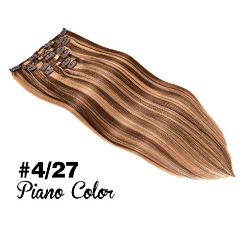 Chocolate Brown/Light Blonde #4/27