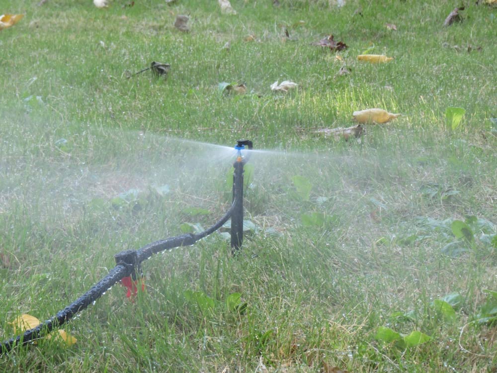 50PCS 180 Degree Mist Nozzles on Stake - Micro Drip Sprinklers for Garden Irrigation, 24mm Spray Heads - Perfect for Flower Beds, Vegetable Gardens & Lawn Watering