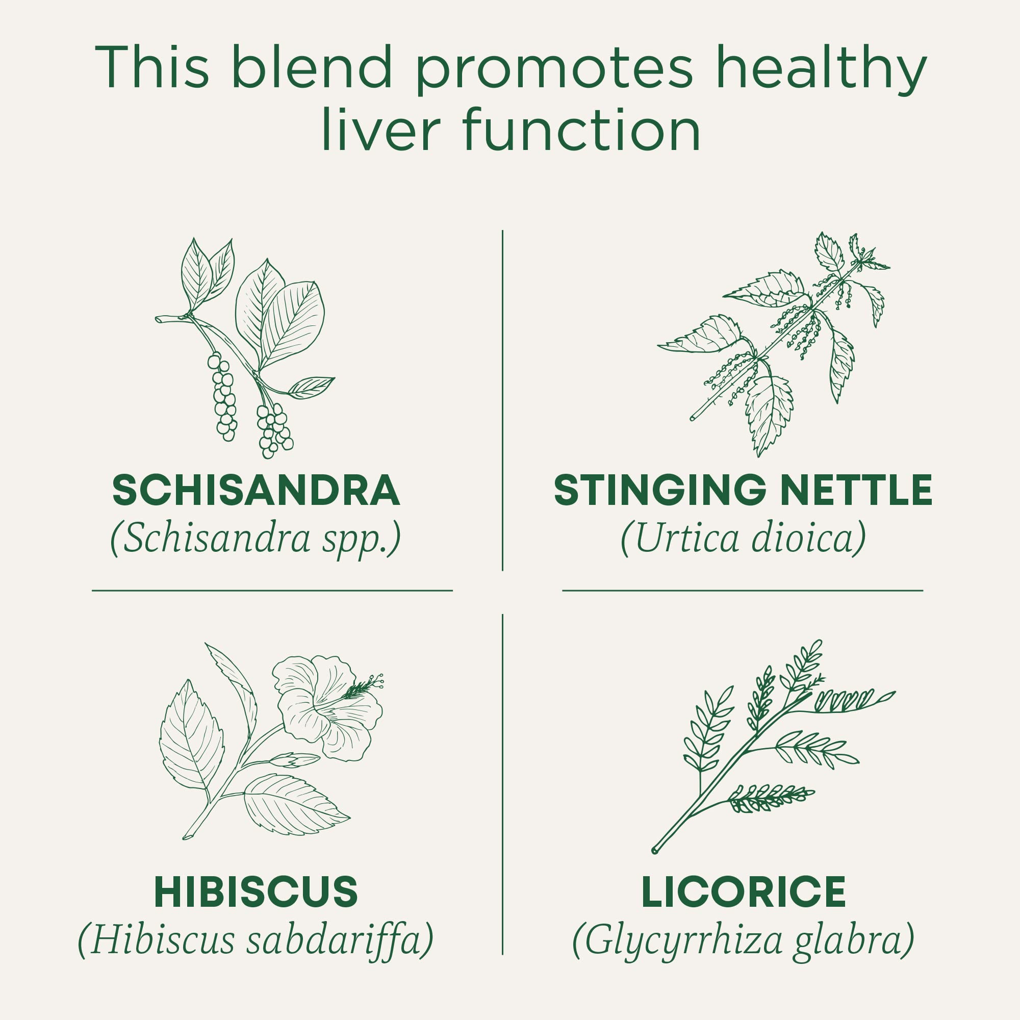 Organic Schisandra Berry Detox Tea by Traditional Medicinals - Supports Liver Health & Natural Cleansing (16 Tea Bags) | Herbal Wellness for Daily Detox & Digestive Support