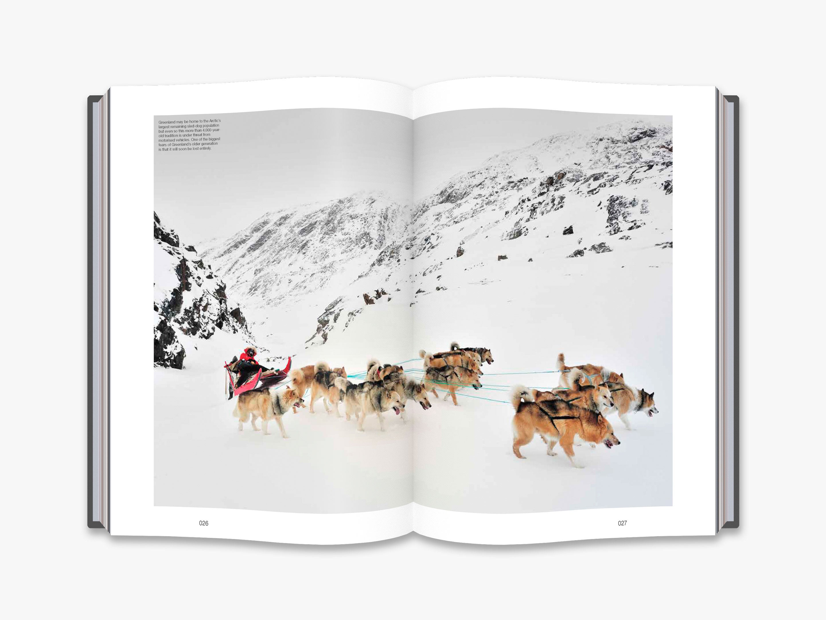 The Monocle Book of the Nordics: Scandinavian Travel Guide & Culture Book - Perfect for Travel Enthusiasts and Nordic Culture Lovers